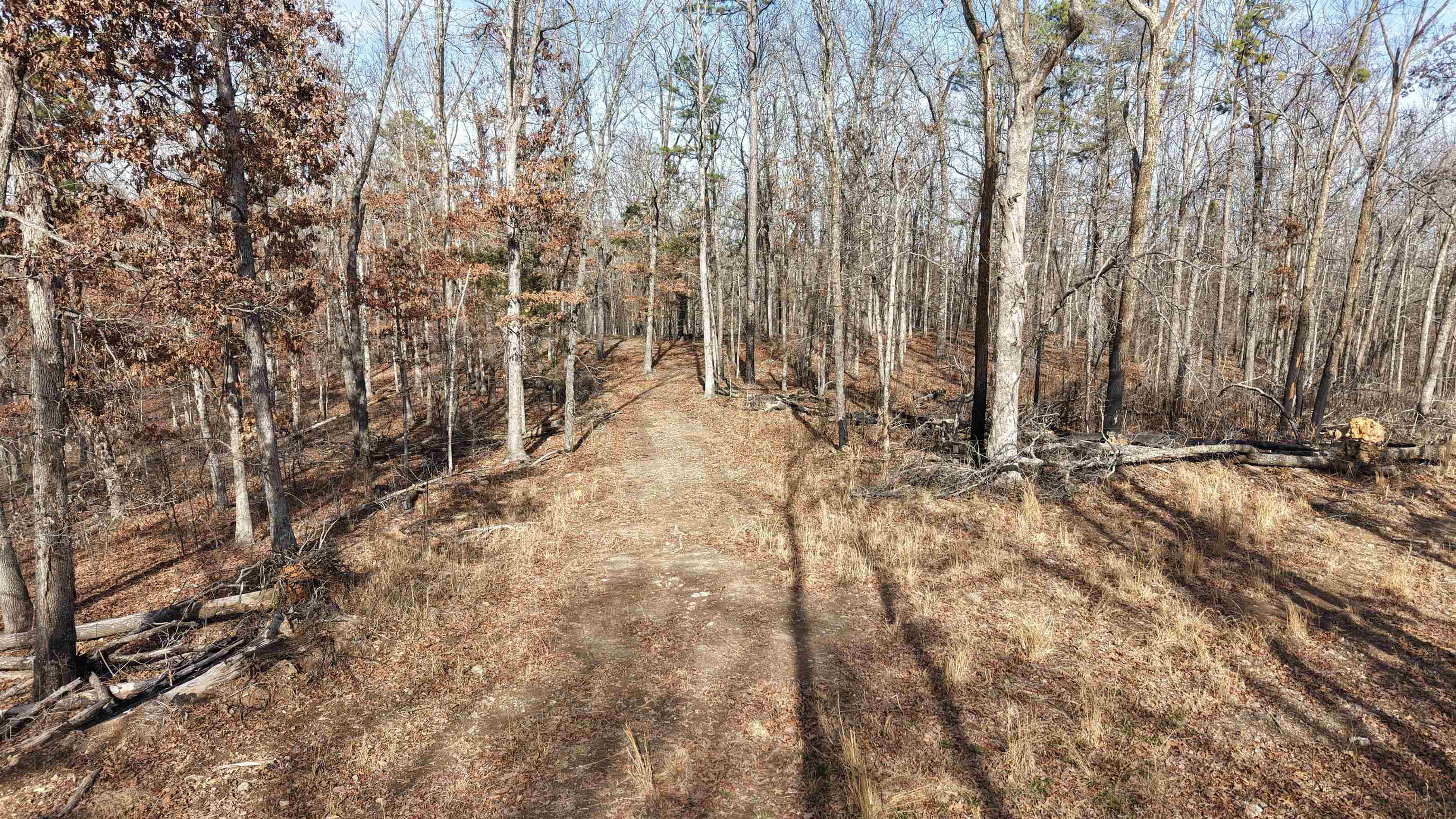 Photo 9 - Vacant Land for sale – 123  Campground Road   Wideman, AR