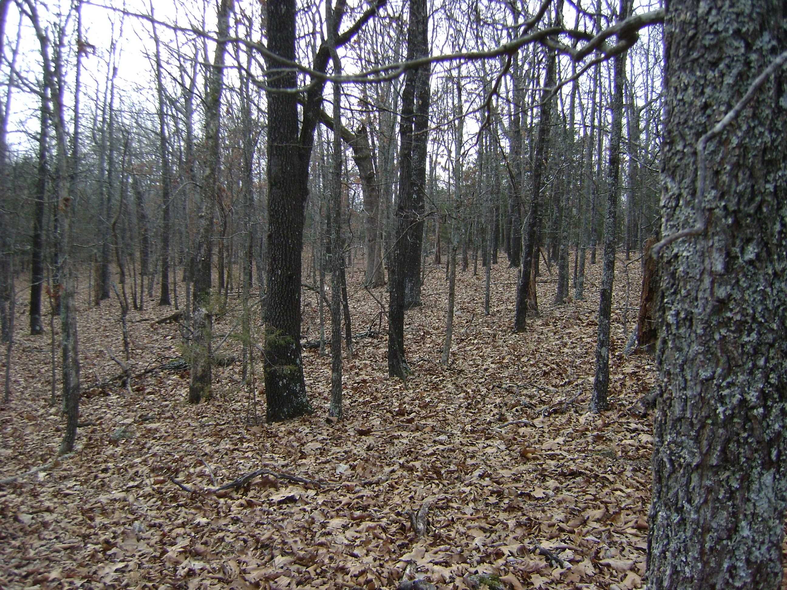 Photo 14 - Vacant Land for sale –   Kennedy Road   Ash Flat, AR