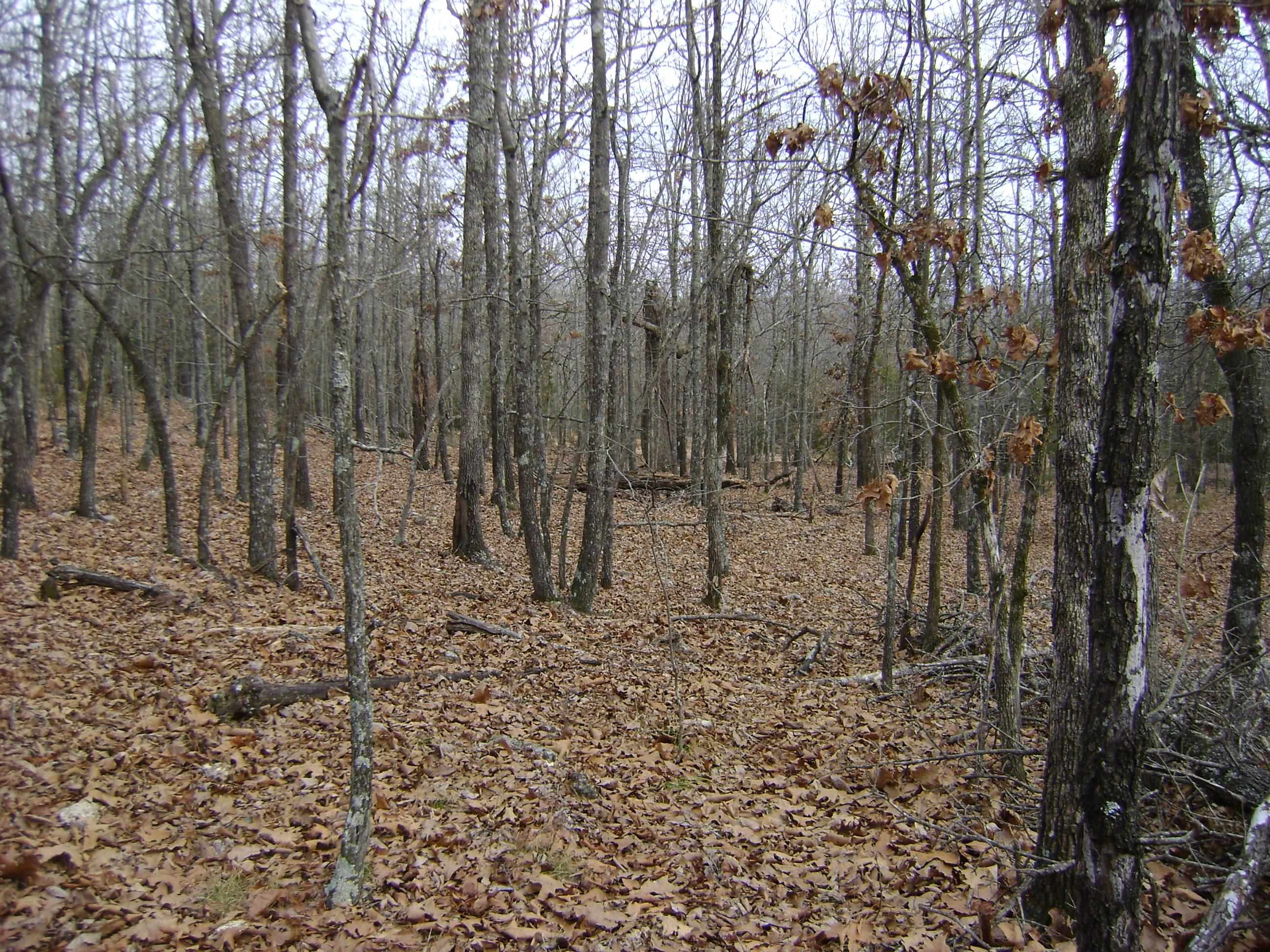 Photo 15 - Vacant Land for sale –   Kennedy Road   Ash Flat, AR