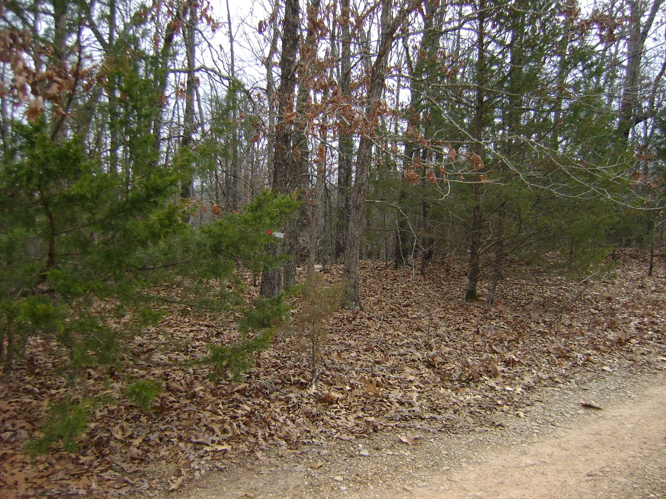 Photo 4 - Vacant Land for sale –   Kennedy Road   Ash Flat, AR