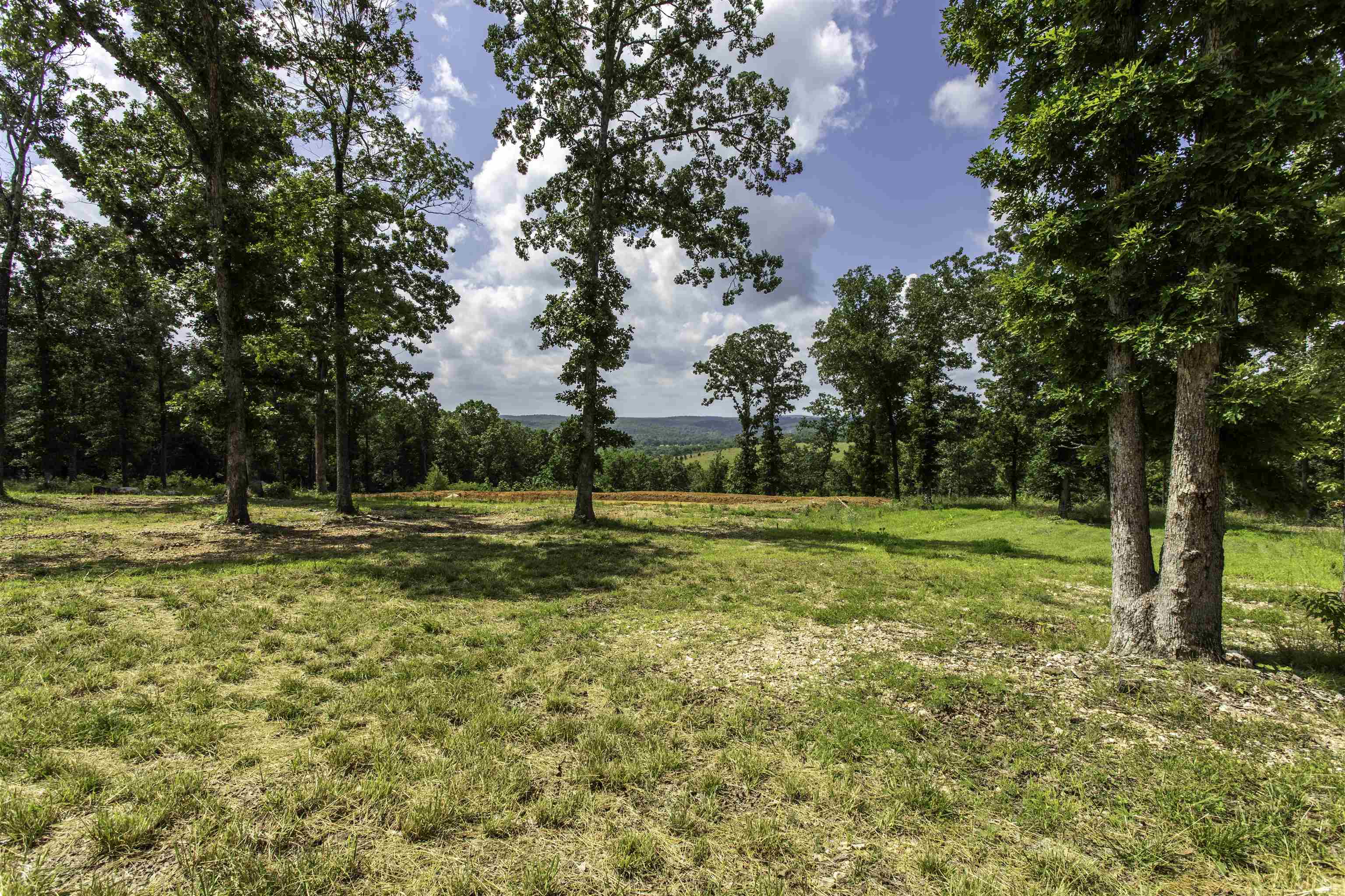 Photo 43 - Residential for sale – 131 E Arkansas Highway 58   Williford, AR