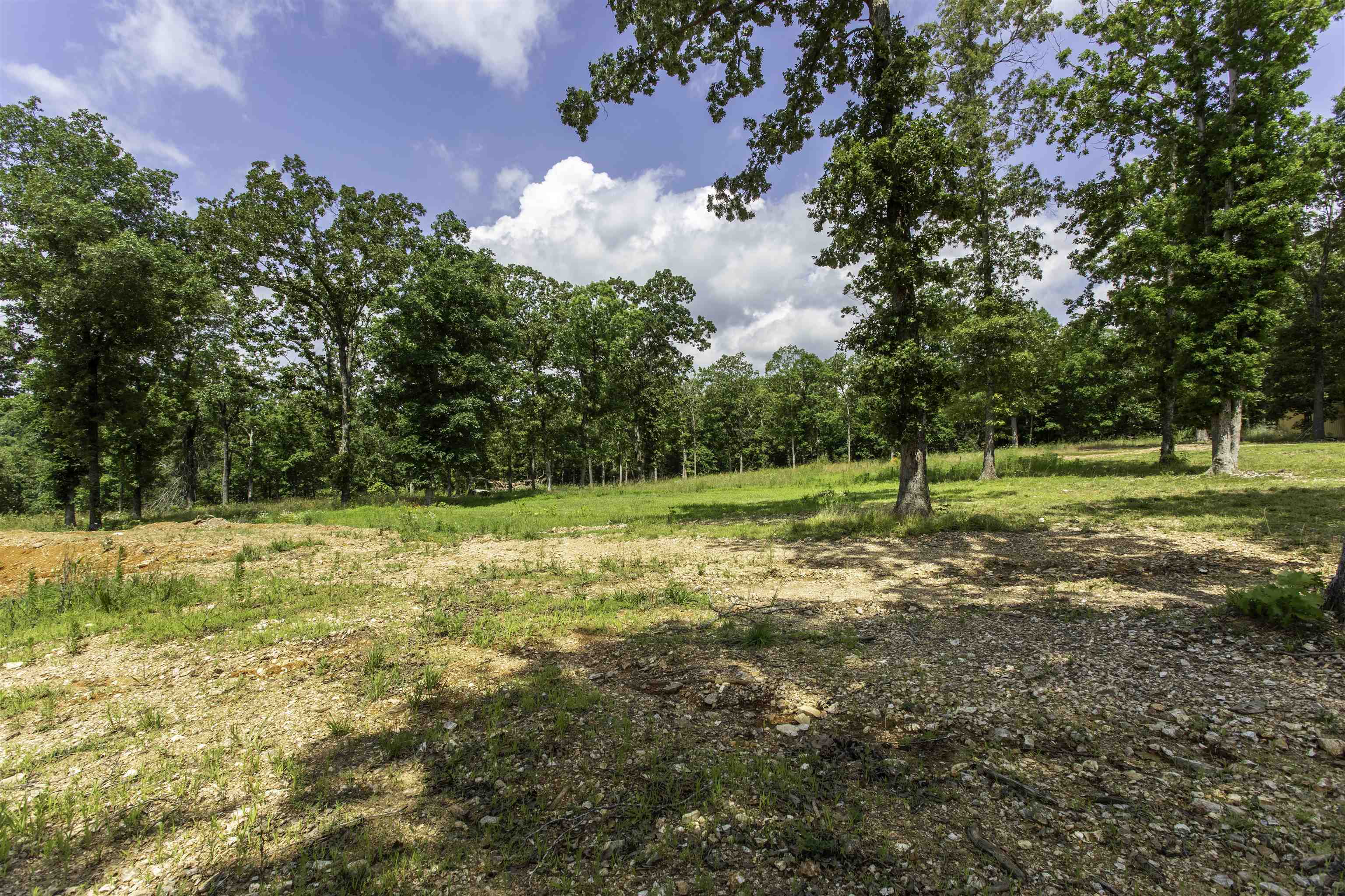 Photo 47 - Residential for sale – 131 E Arkansas Highway 58   Williford, AR