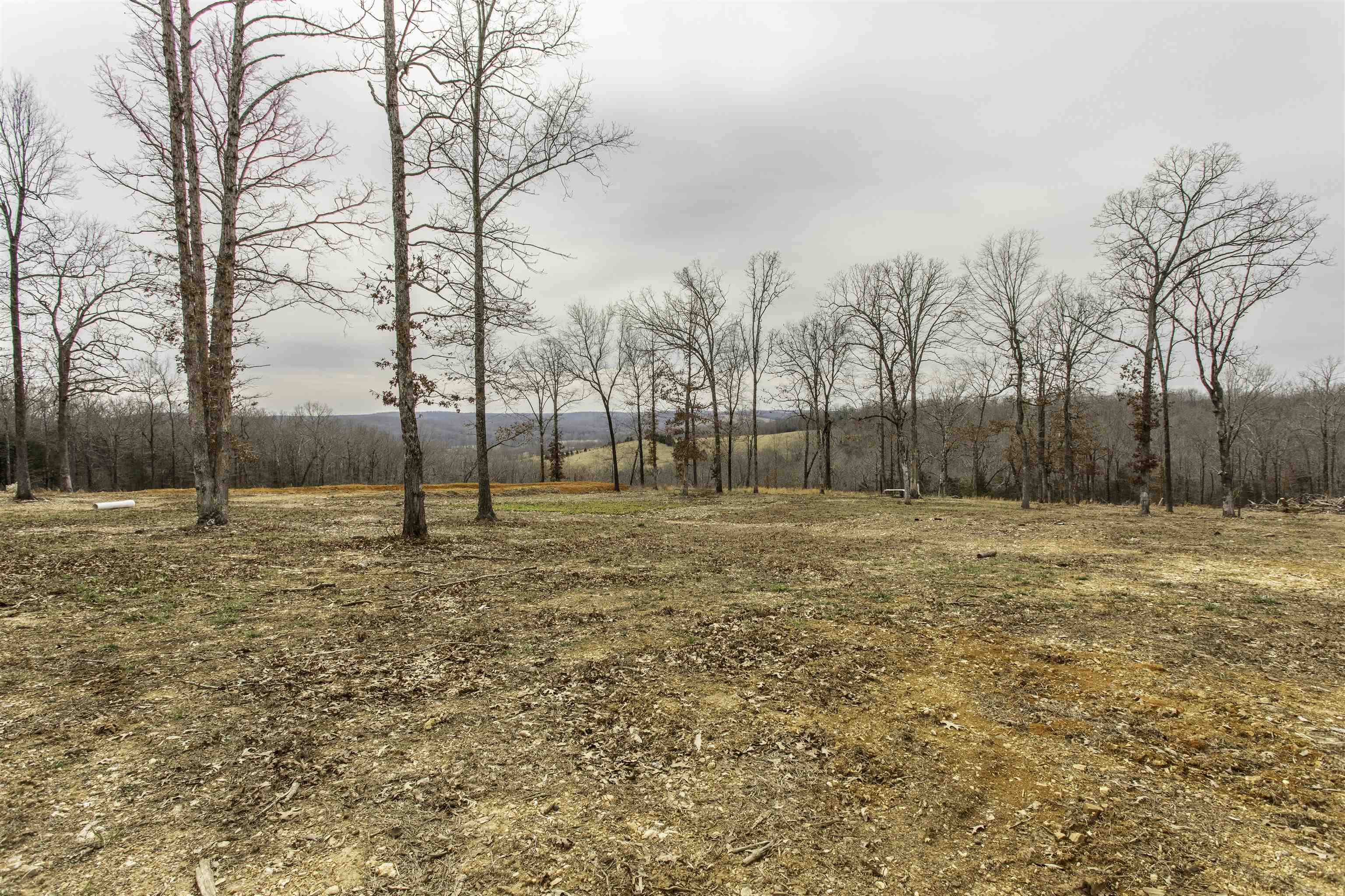 Photo 49 - Residential for sale – 131 E Arkansas Highway 58   Williford, AR