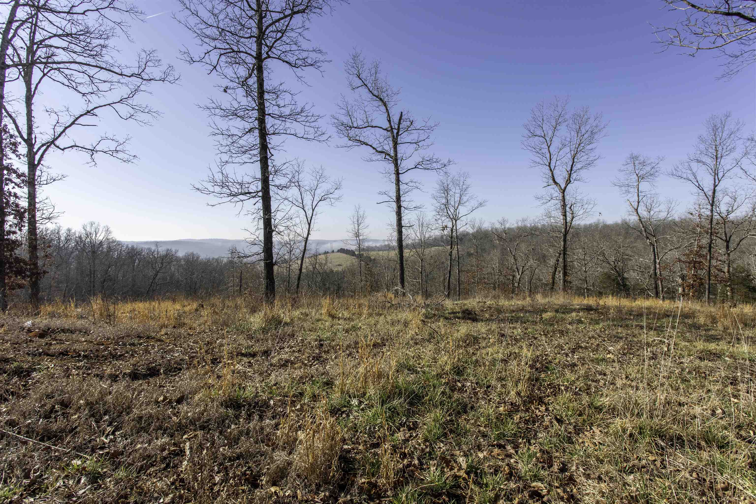 Photo 7 - Residential for sale – 131 E Arkansas Highway 58   Williford, AR