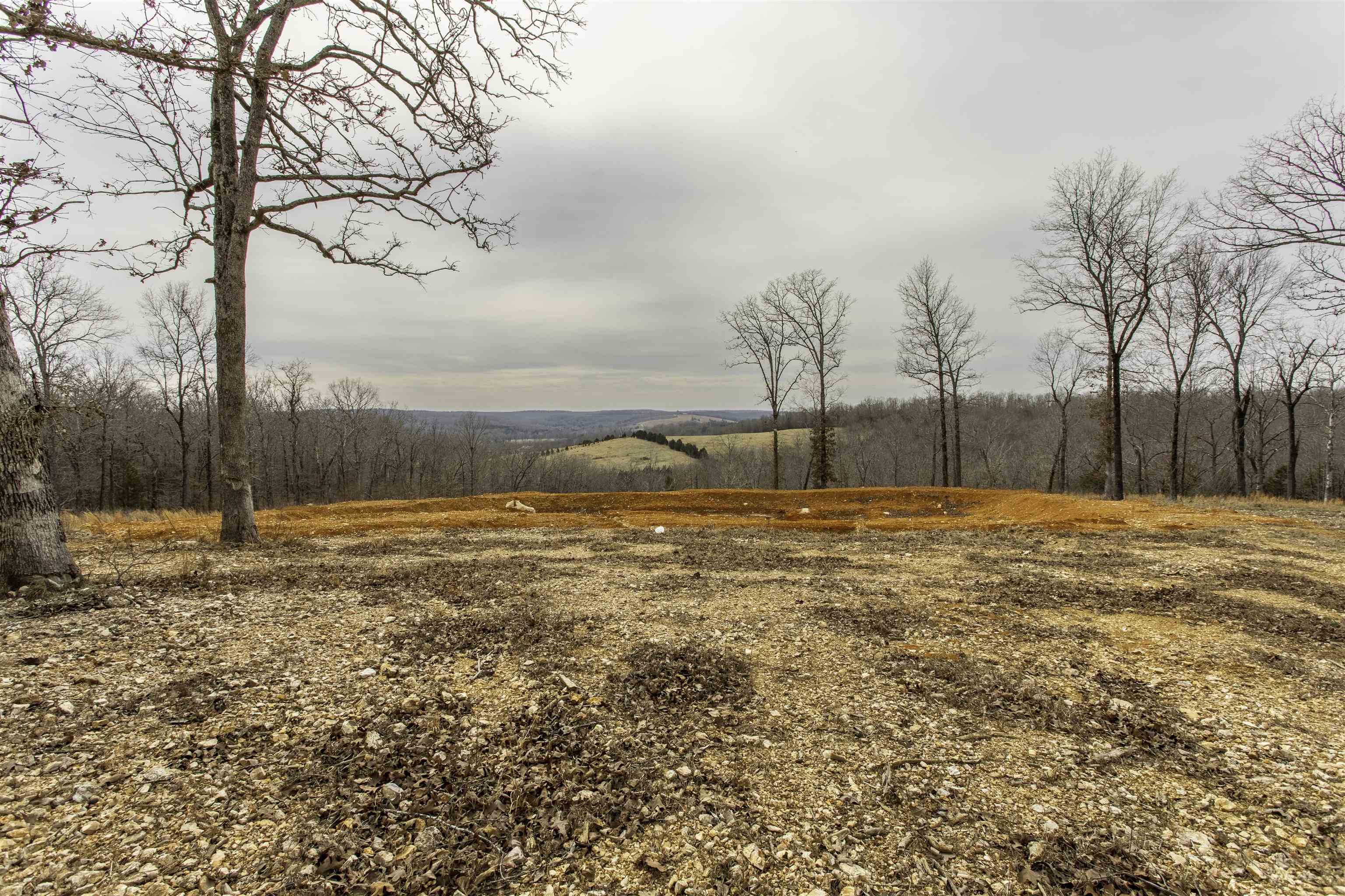 Photo 8 - Residential for sale – 131 E Arkansas Highway 58   Williford, AR