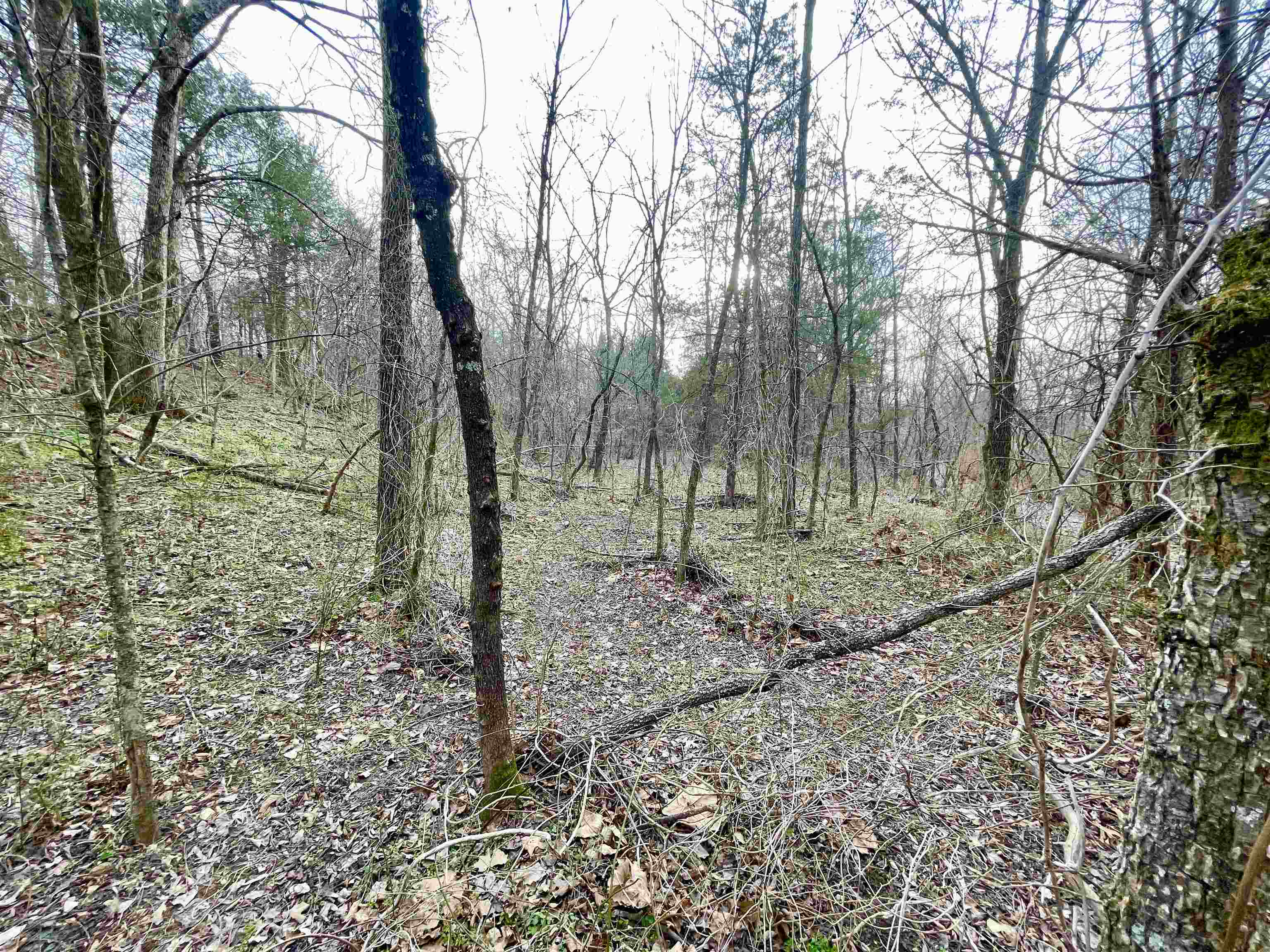 Photo 18 - Residential for sale – 122  Runway   Salem, AR