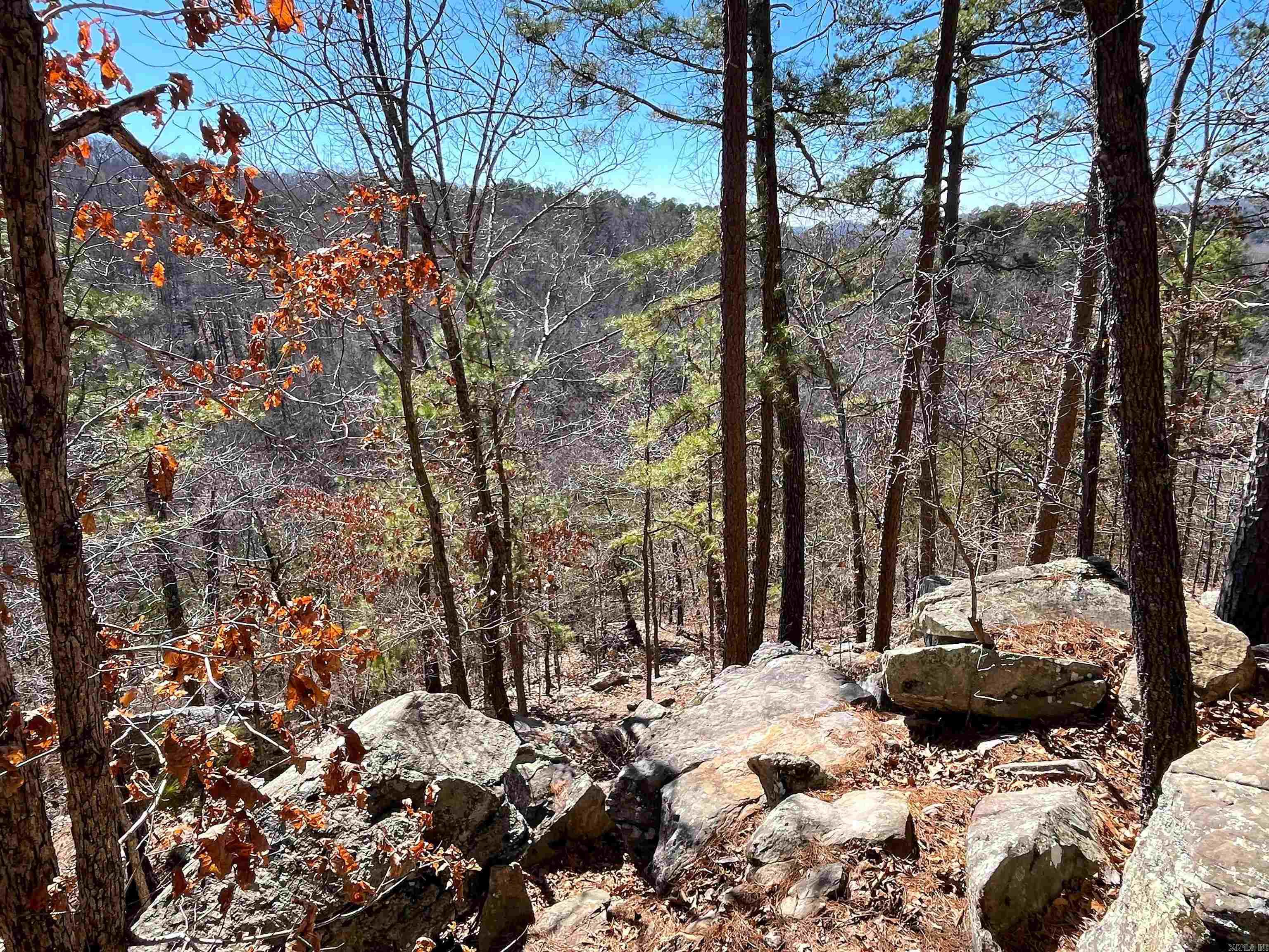 Photo 12 - Residential for sale – 352  Bluff View   Mountain View, AR