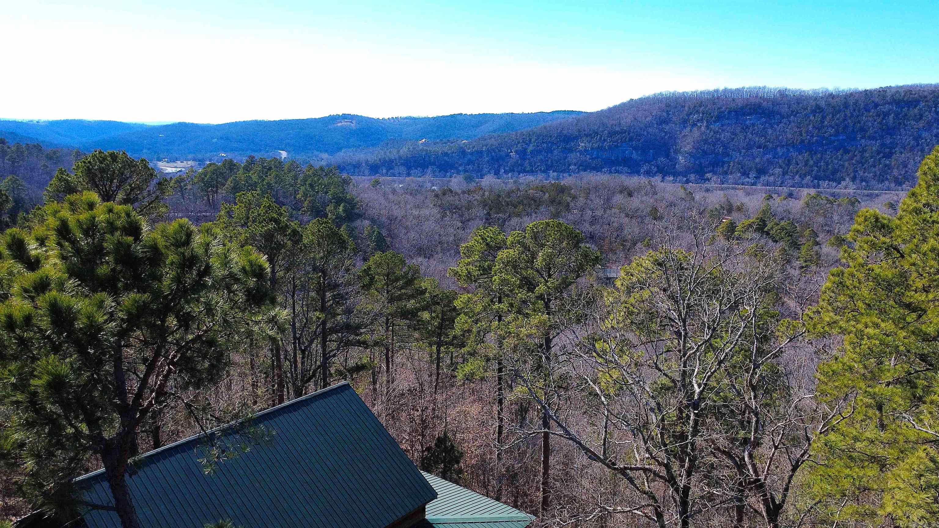 Photo 7 - Residential for sale – 352  Bluff View   Mountain View, AR