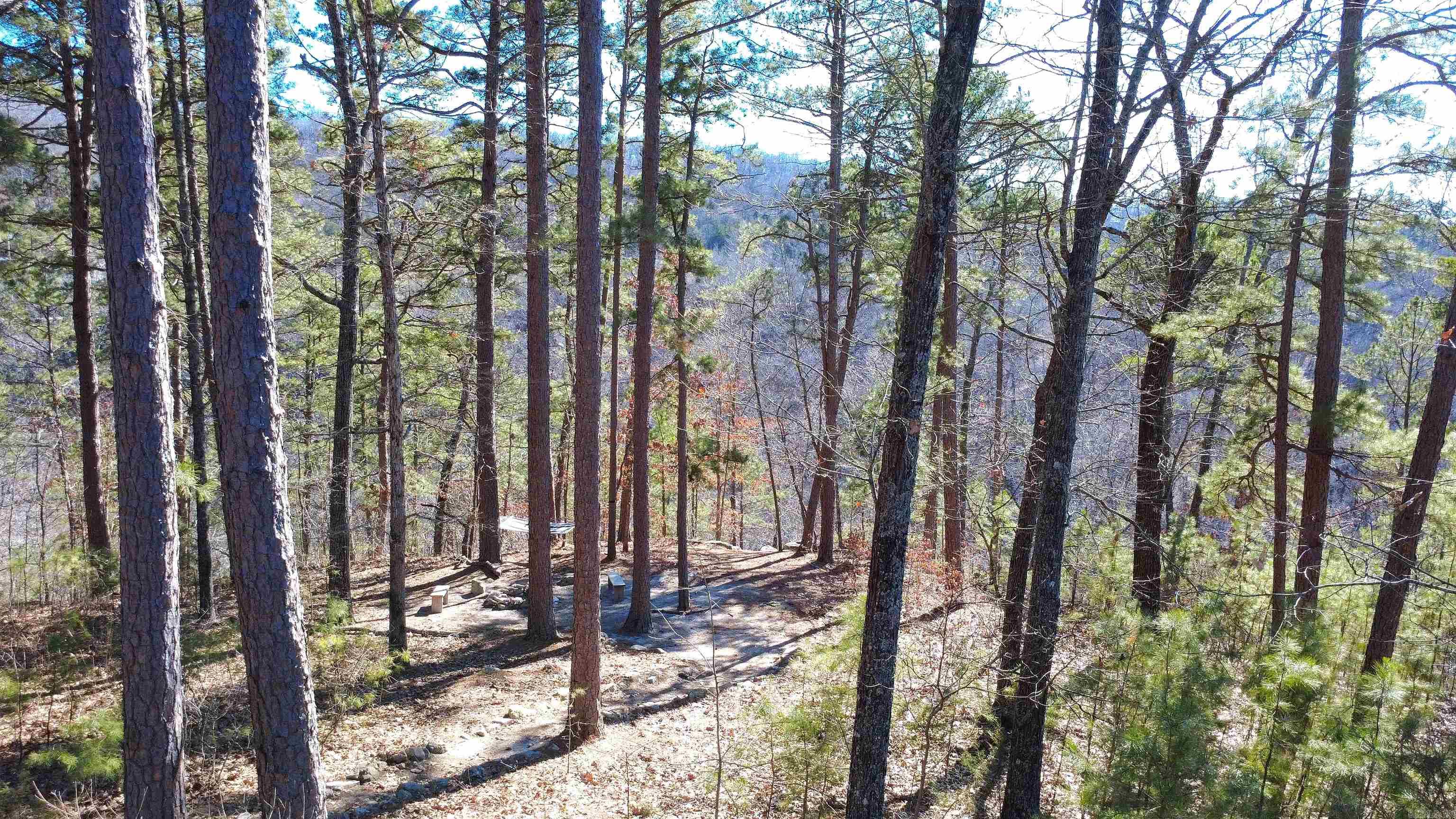 Photo 9 - Residential for sale – 352  Bluff View   Mountain View, AR