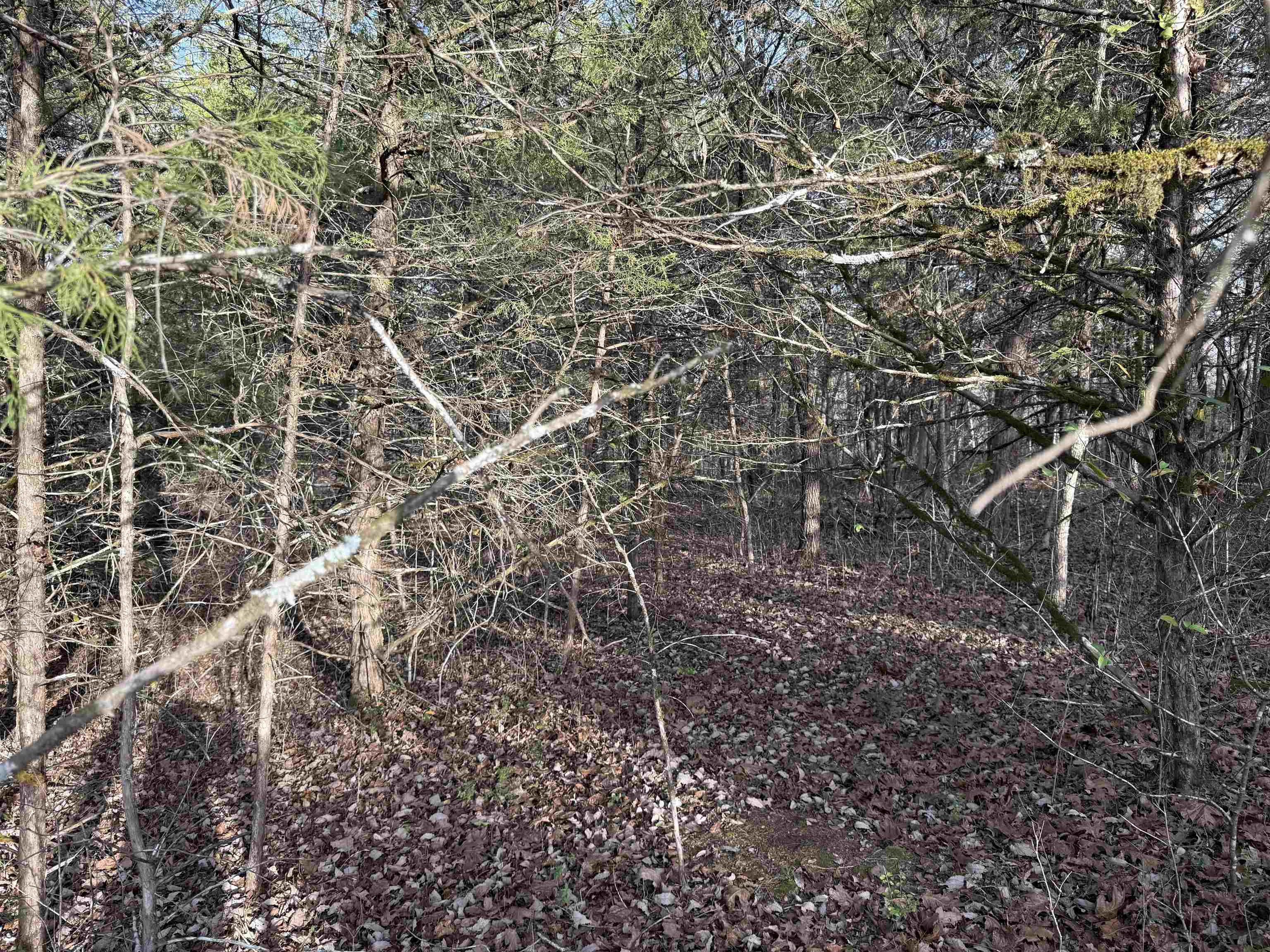 Photo 11 - Vacant Land for sale – 4  Golf Course Area Lots   Cherokee Village, AR