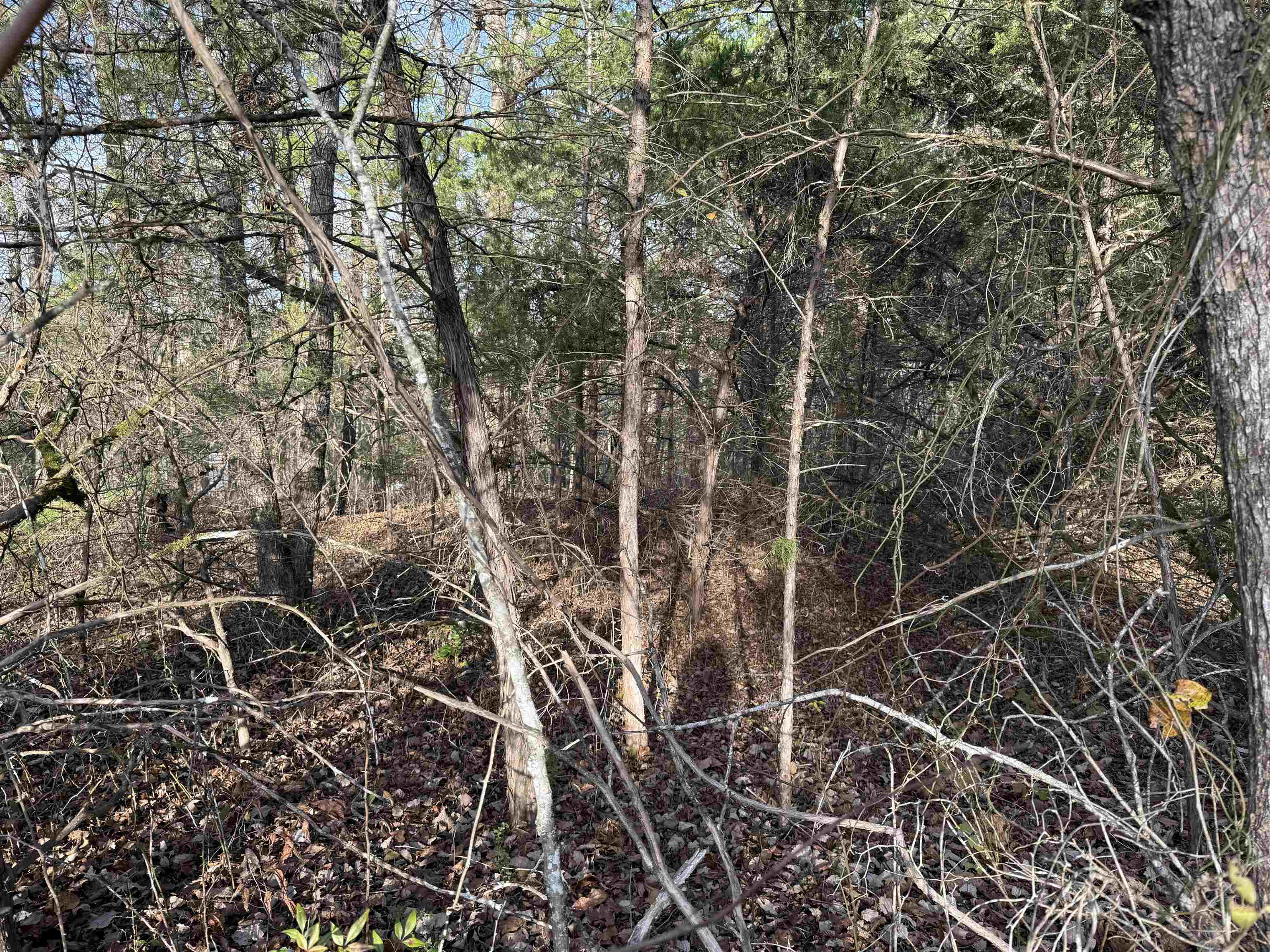 Photo 12 - Vacant Land for sale – 4  Golf Course Area Lots   Cherokee Village, AR