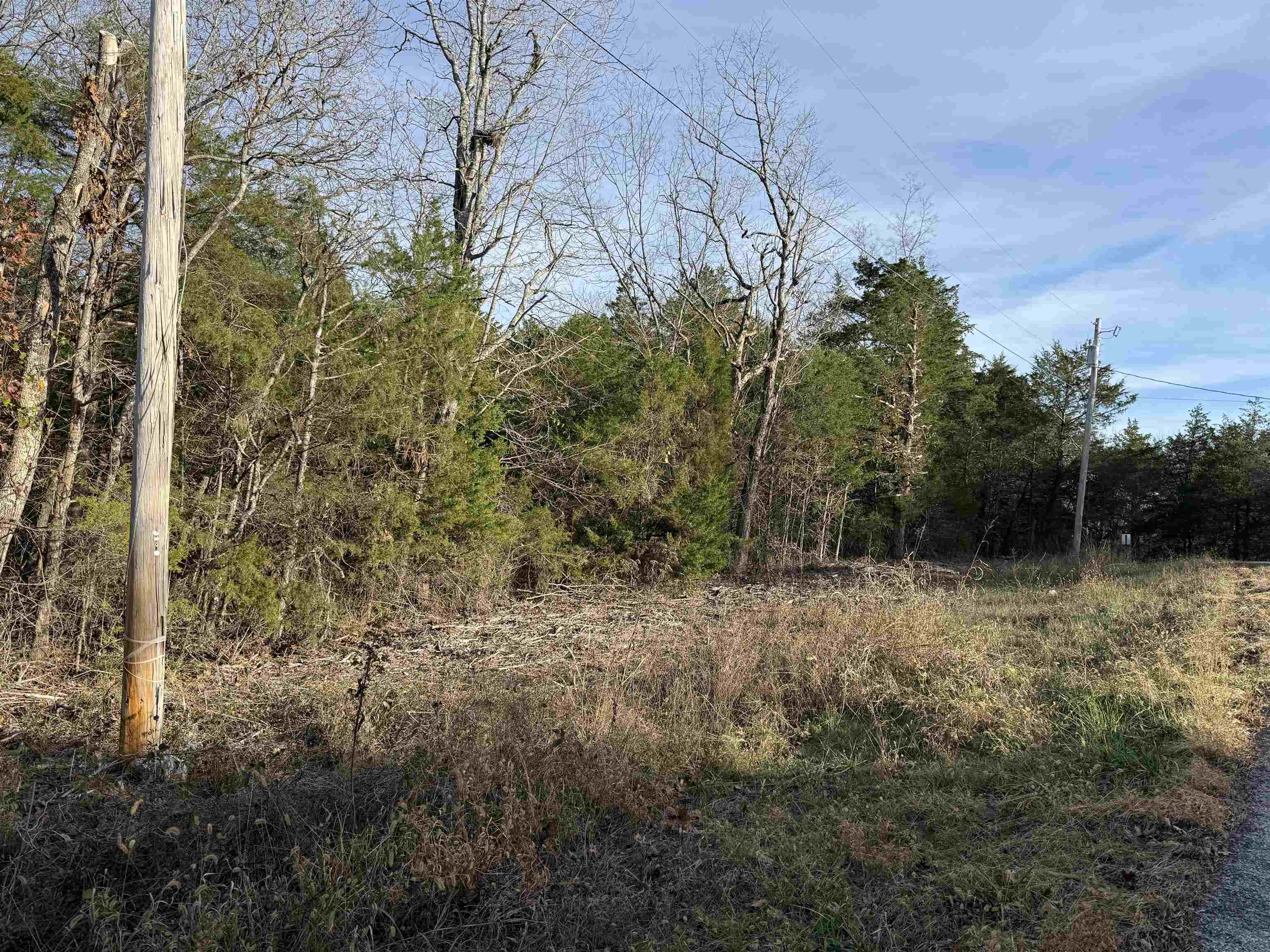 Photo 13 - Vacant Land for sale – 4  Golf Course Area Lots   Cherokee Village, AR