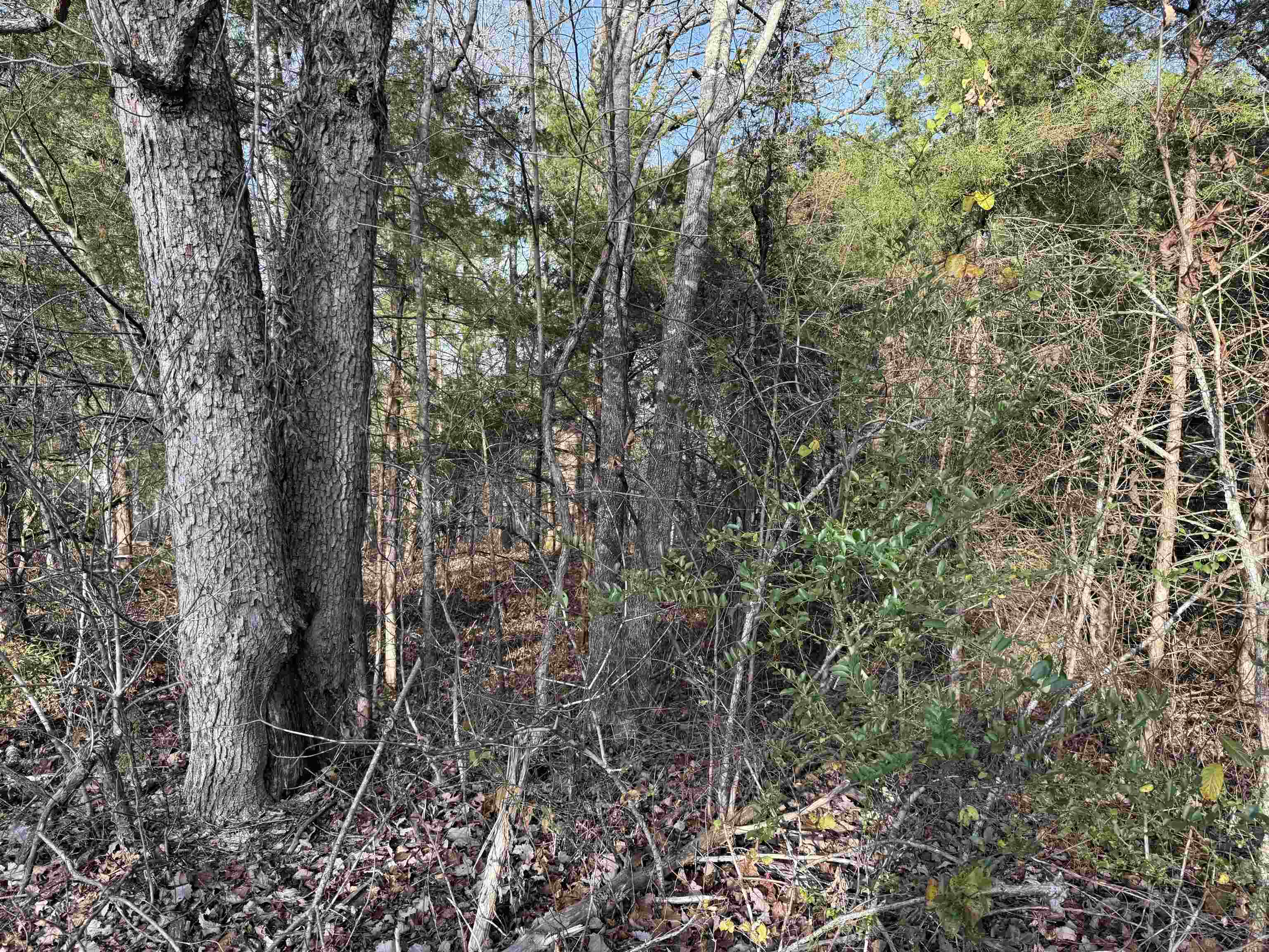 Photo 14 - Vacant Land for sale – 4  Golf Course Area Lots   Cherokee Village, AR