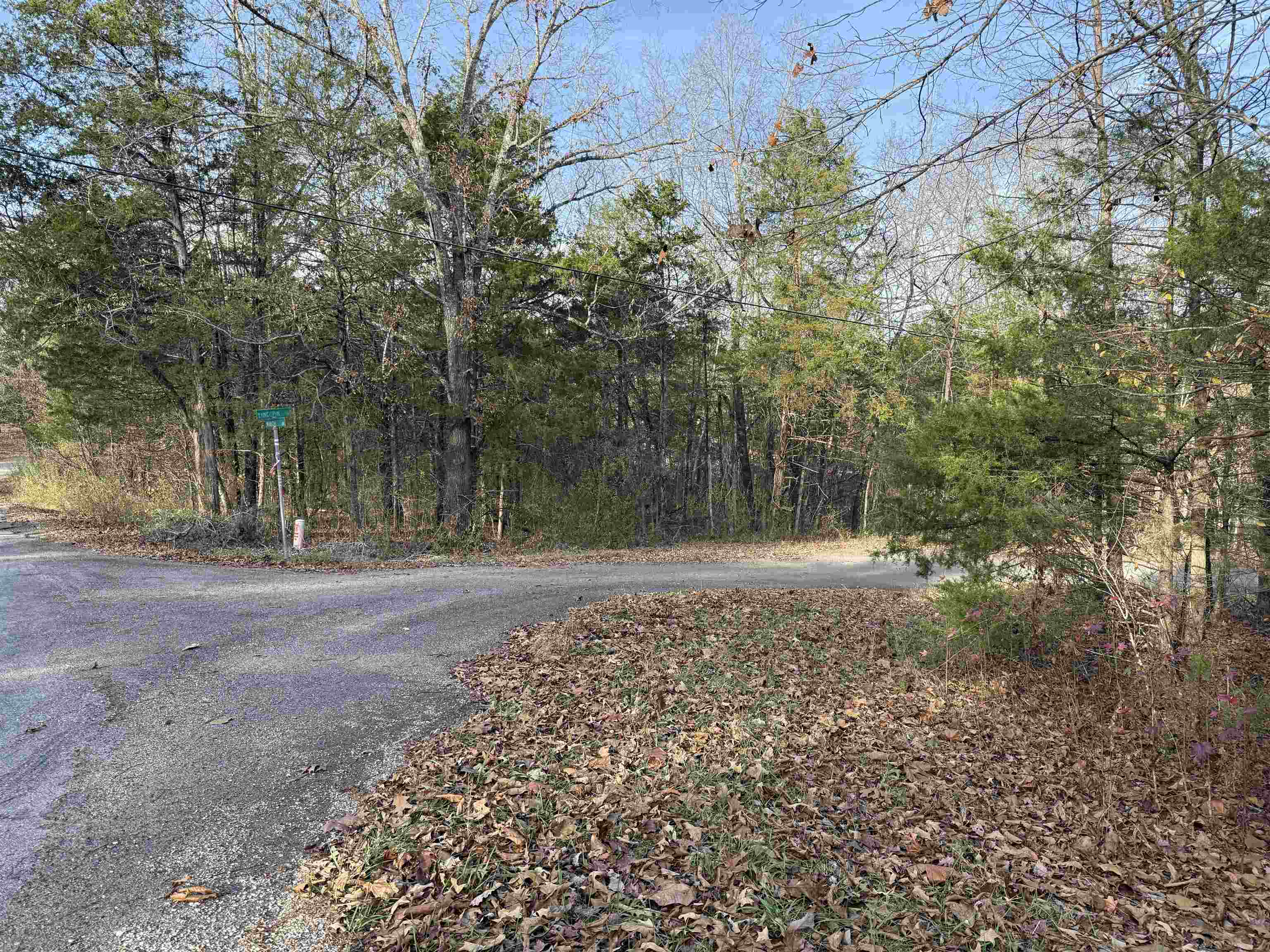 Photo 3 - Vacant Land for sale – 4  Golf Course Area Lots   Cherokee Village, AR