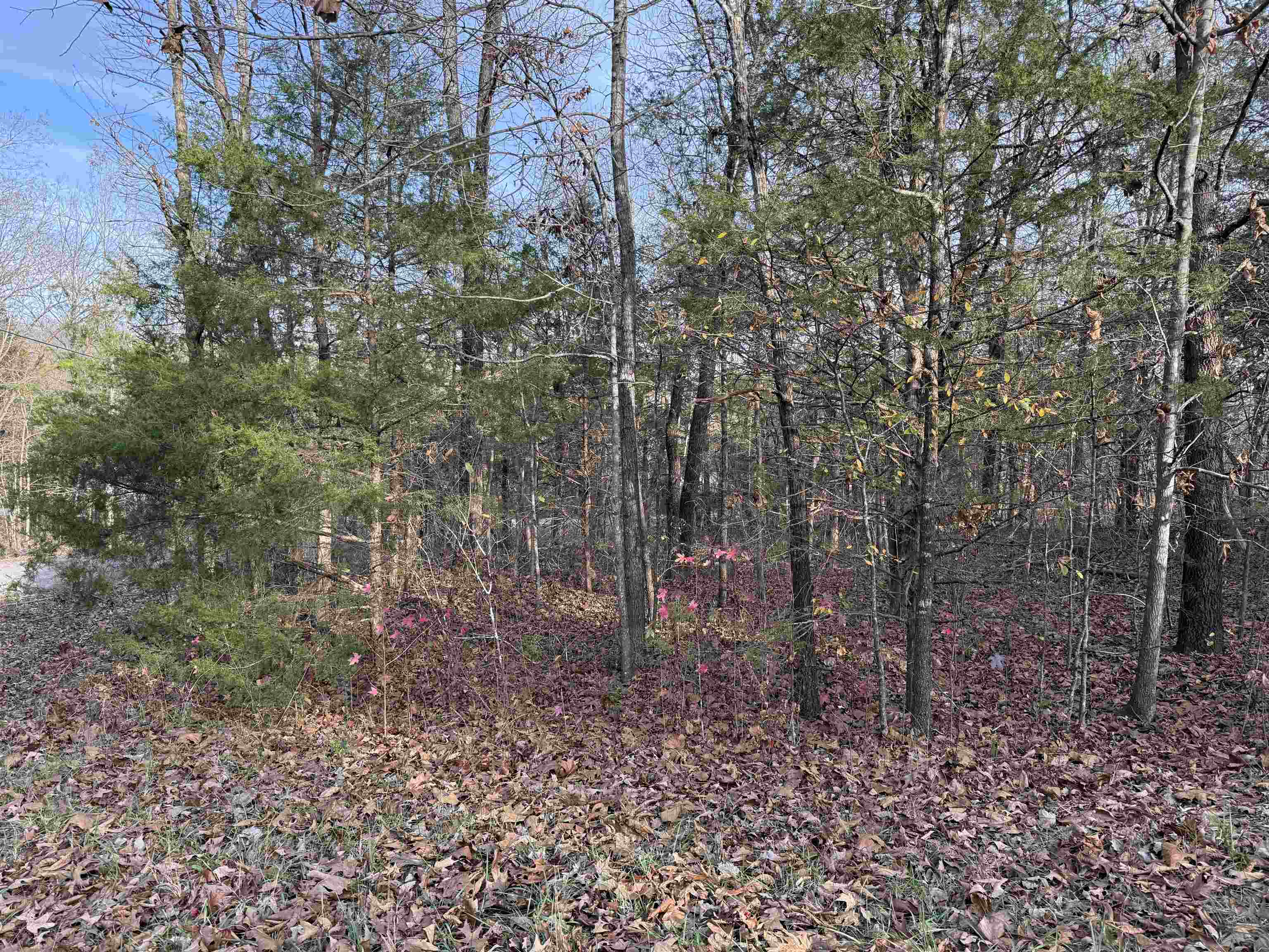 Photo 4 - Vacant Land for sale – 4  Golf Course Area Lots   Cherokee Village, AR