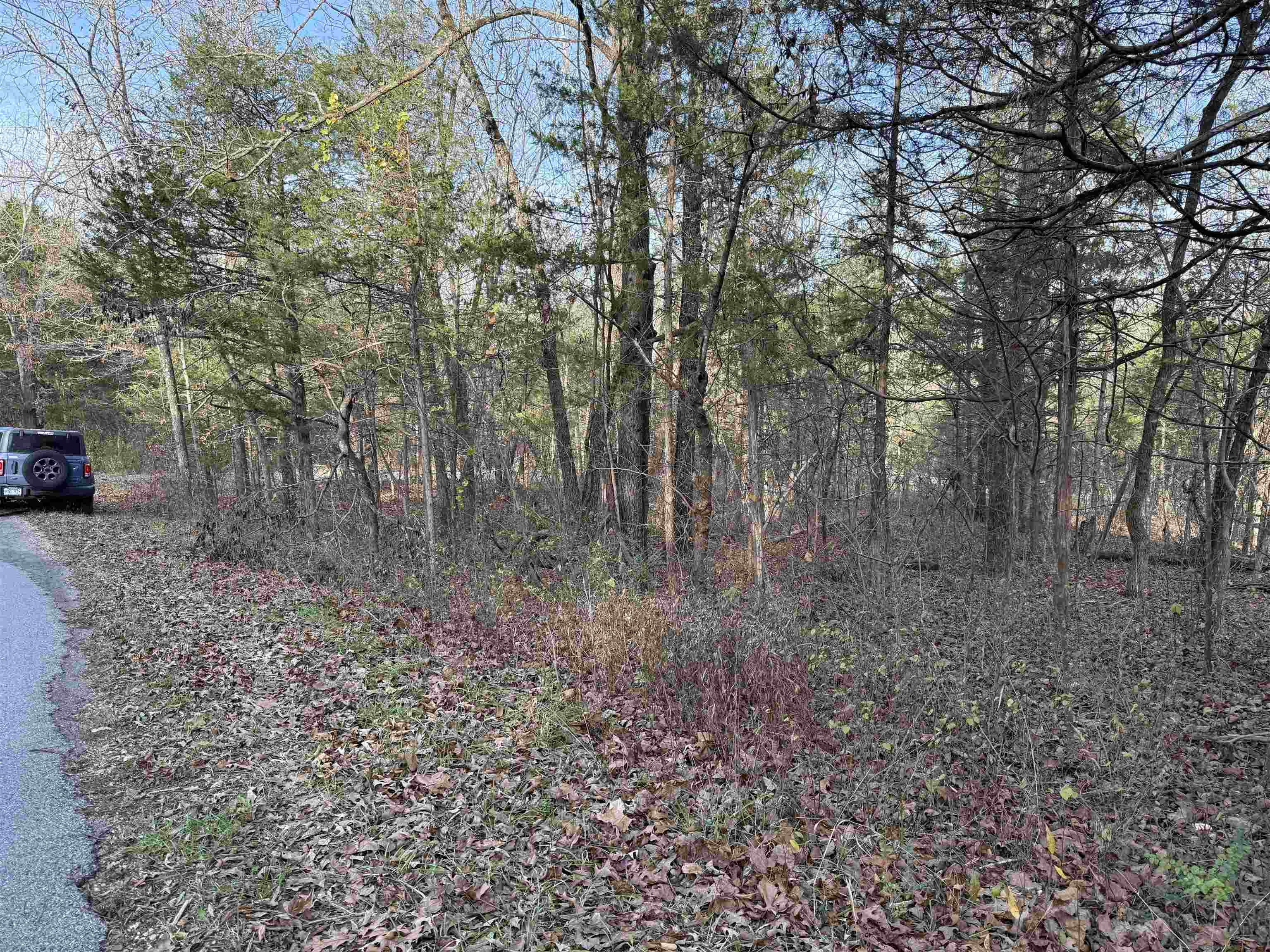 Photo 5 - Vacant Land for sale – 4  Golf Course Area Lots   Cherokee Village, AR