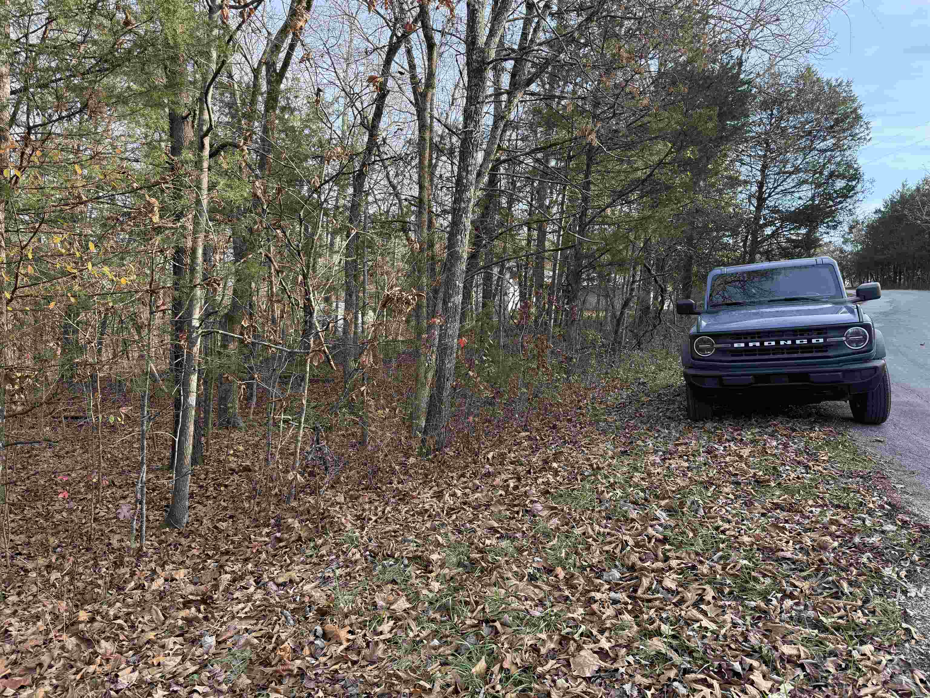 Photo 6 - Vacant Land for sale – 4  Golf Course Area Lots   Cherokee Village, AR