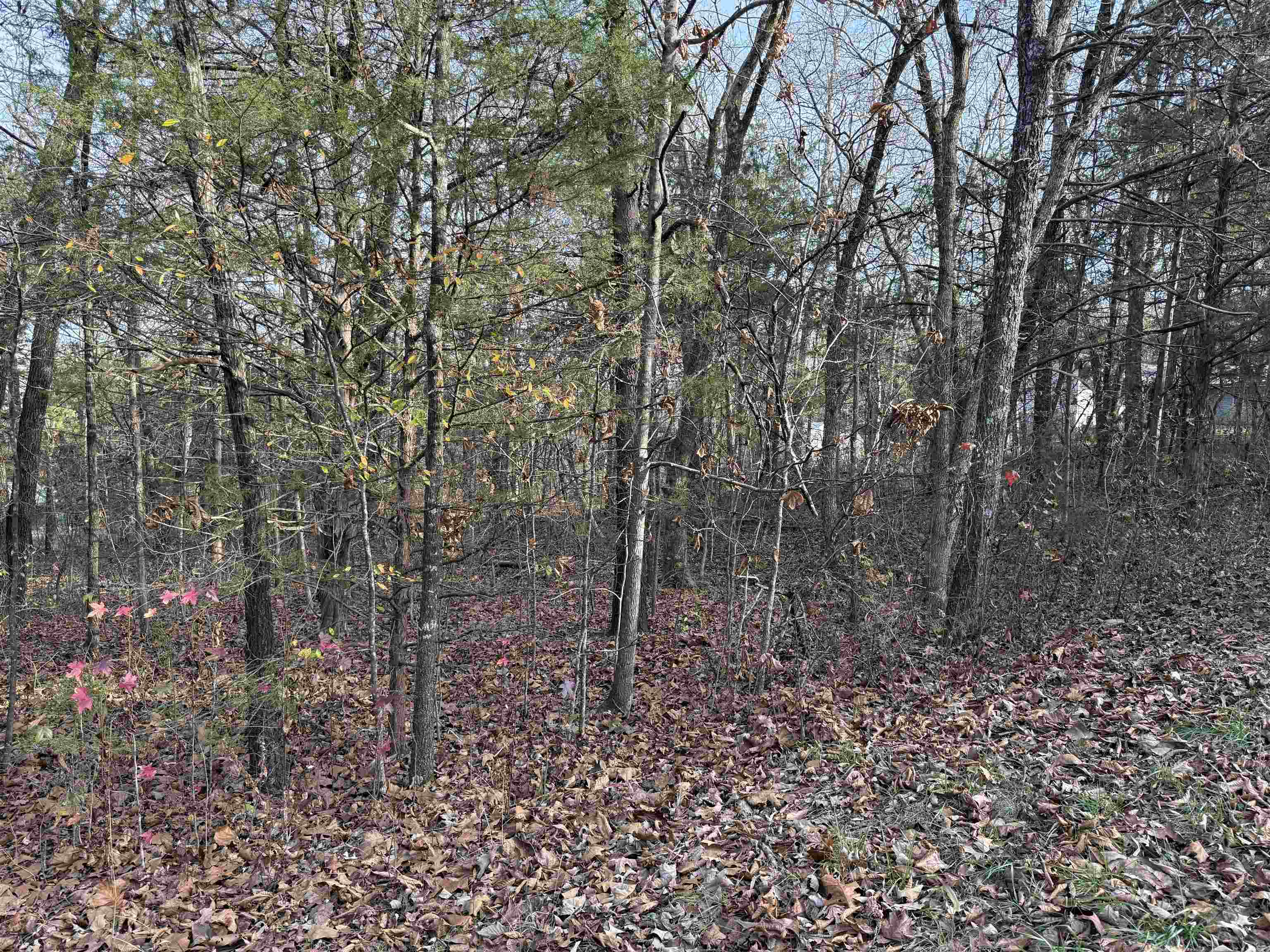 Photo 7 - Vacant Land for sale – 4  Golf Course Area Lots   Cherokee Village, AR