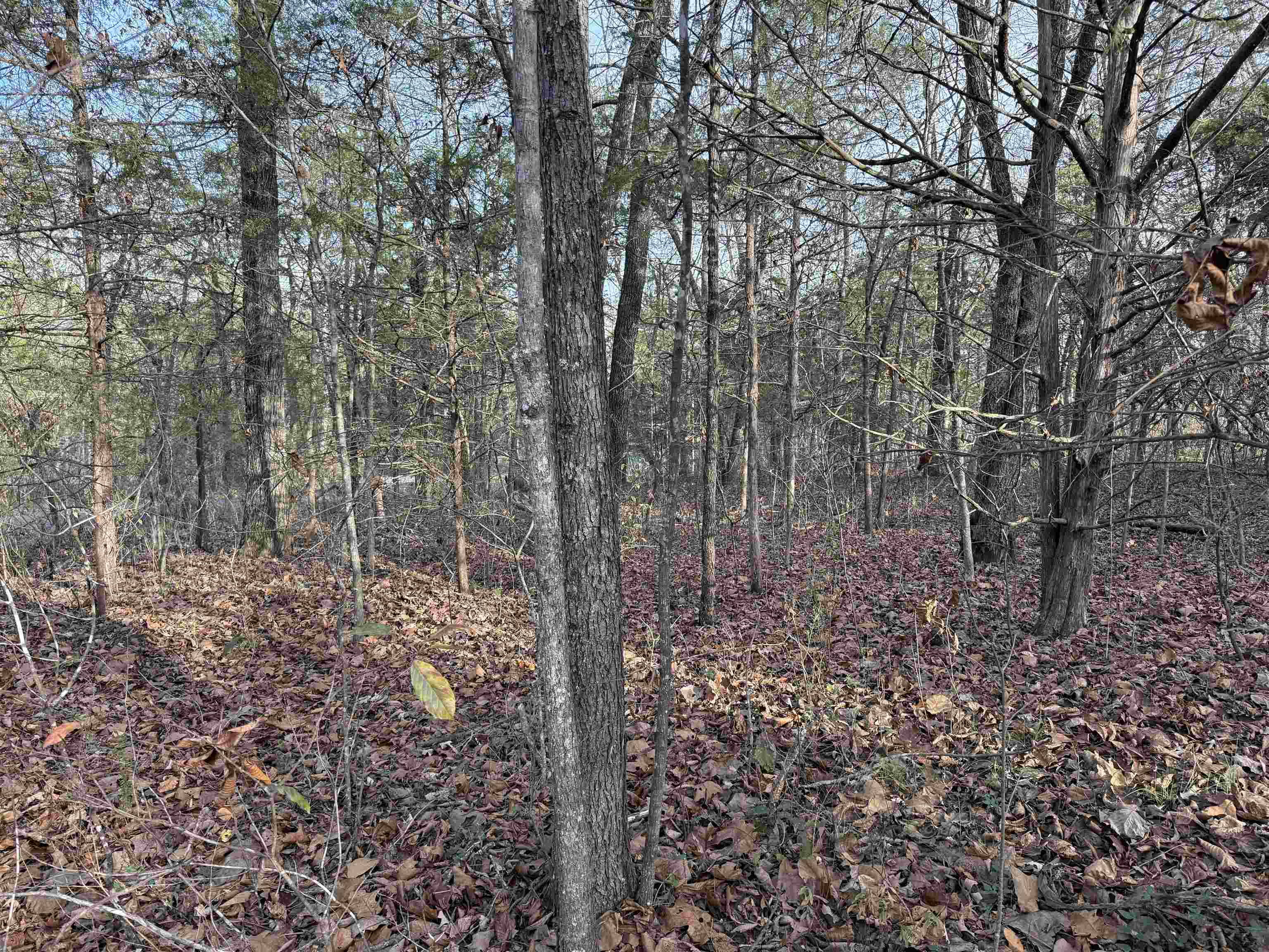 Photo 8 - Vacant Land for sale – 4  Golf Course Area Lots   Cherokee Village, AR