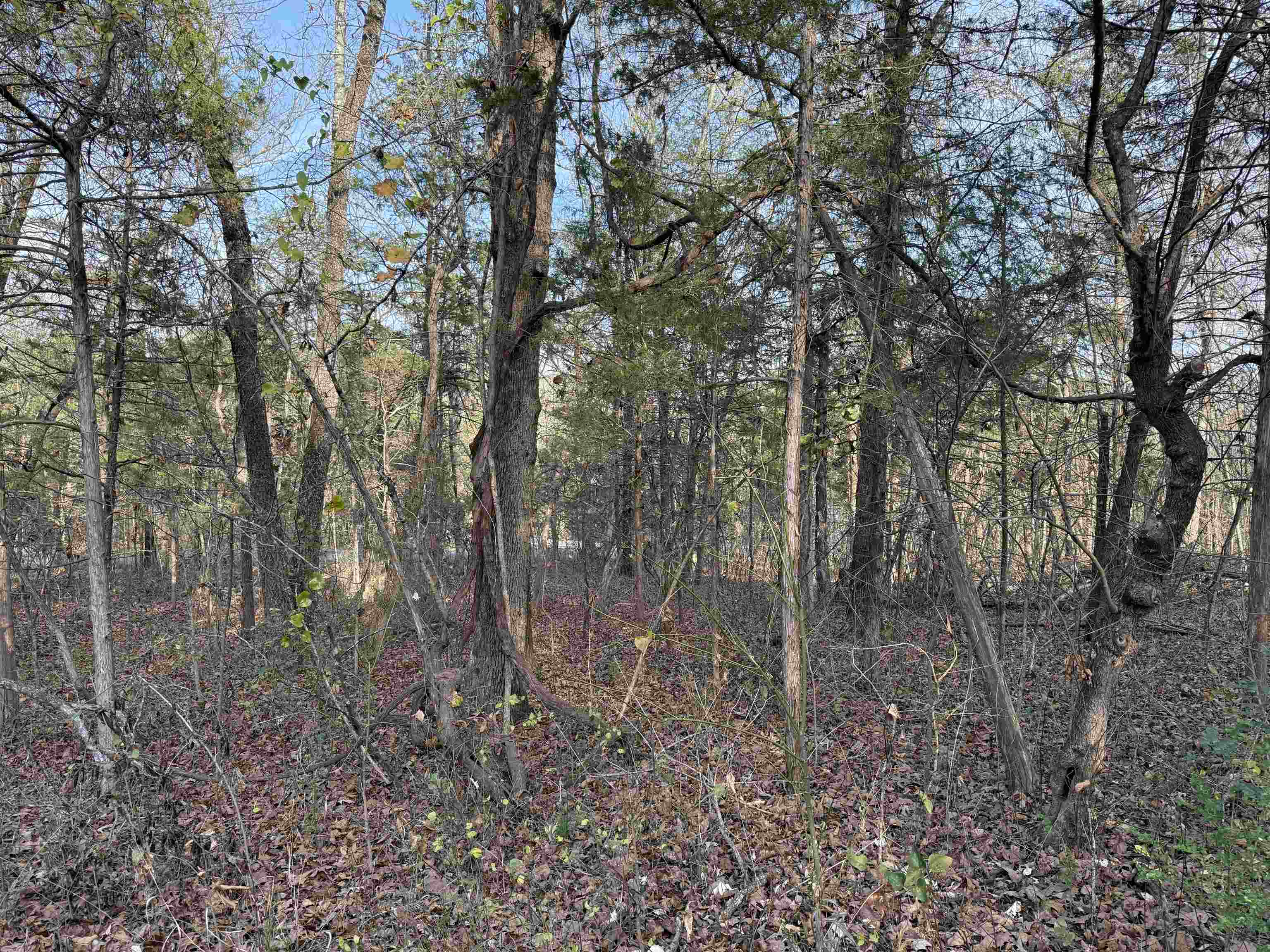 Photo 10 - Vacant Land for sale – 4  Golf Course Area Lots   Cherokee Village, AR
