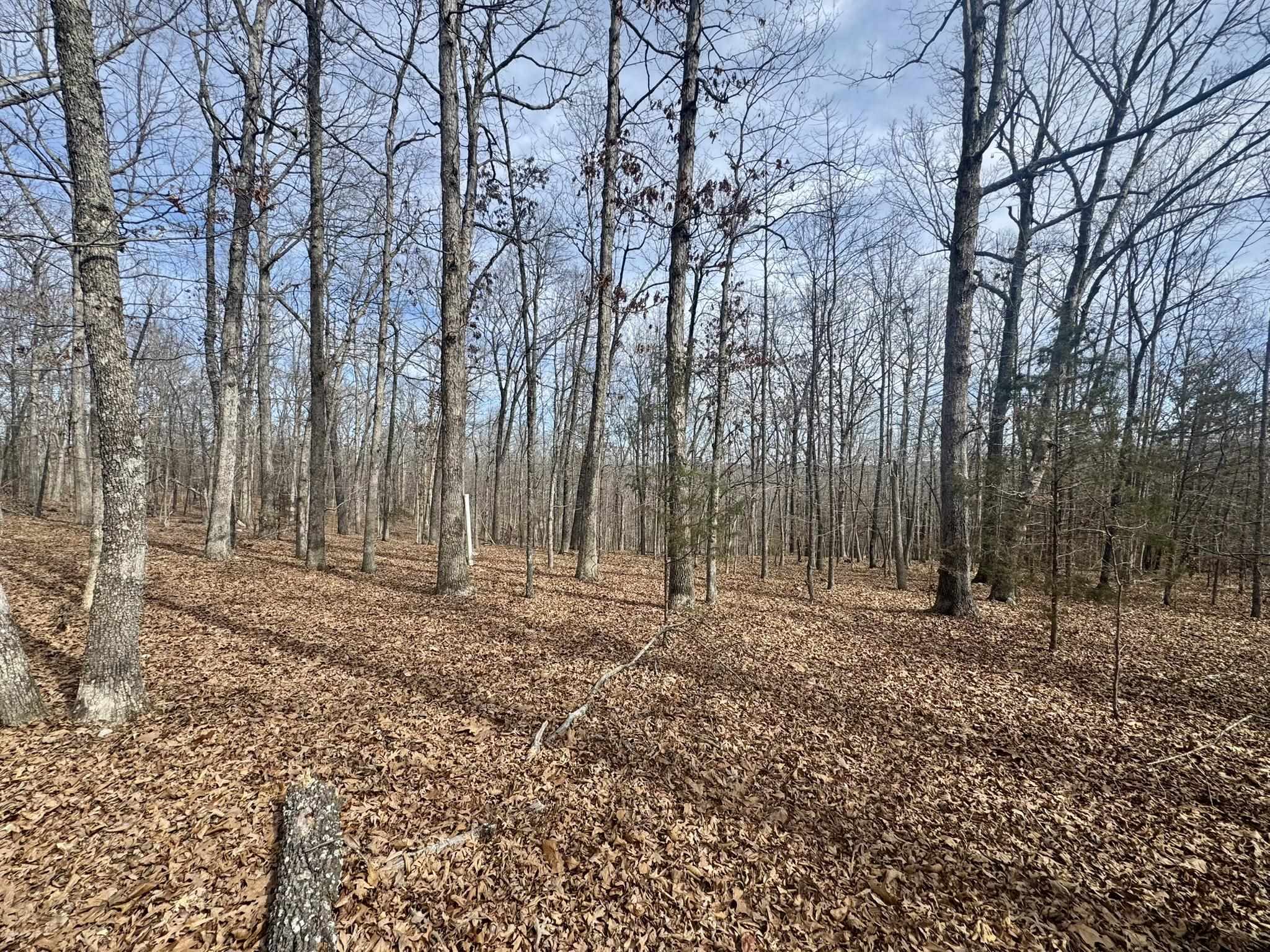 Photo 3 - Vacant Land for sale – 0  Barnes Road   Evening Shade, AR