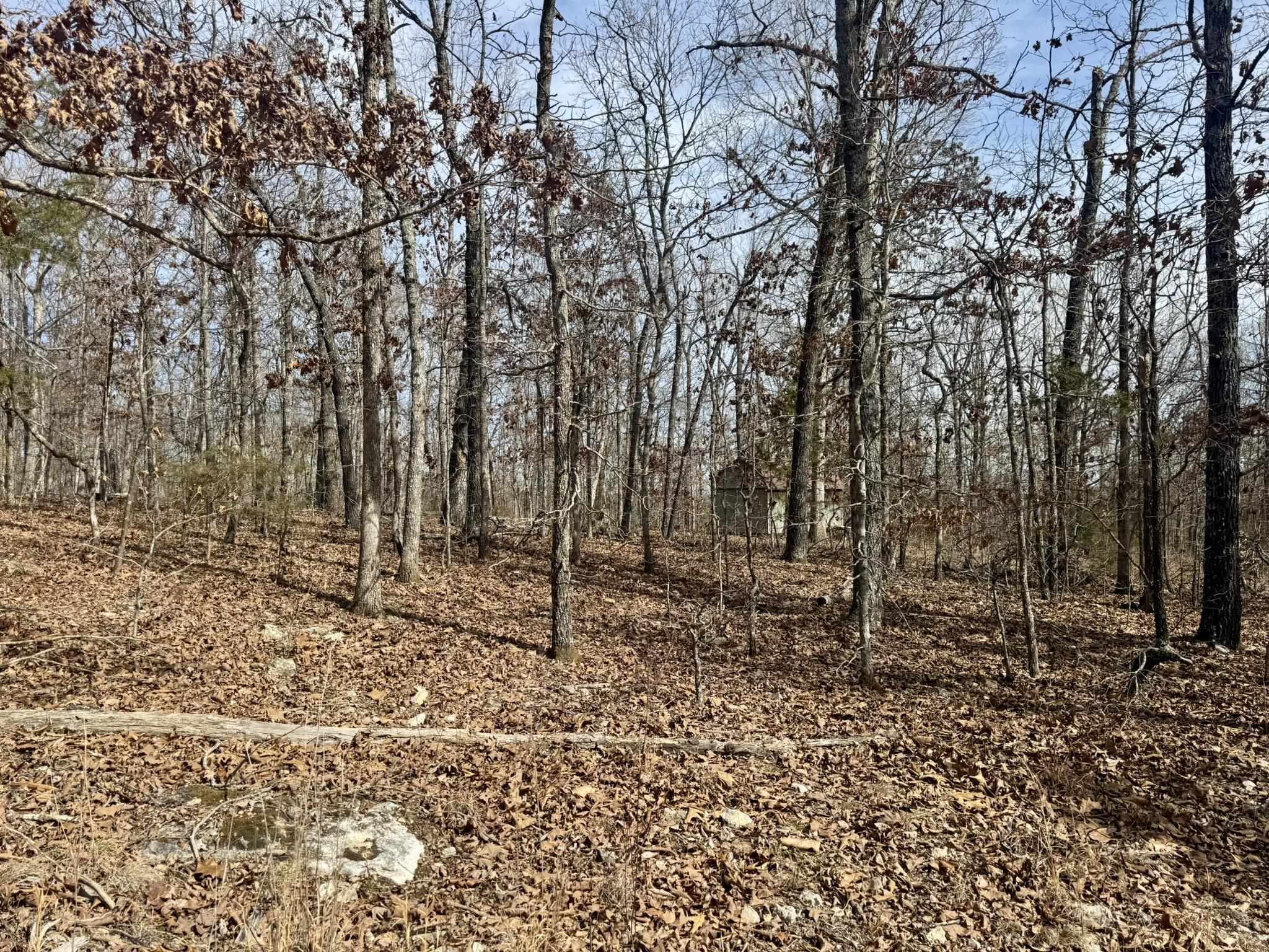 Photo 9 - Vacant Land for sale – 0  Barnes Road   Evening Shade, AR