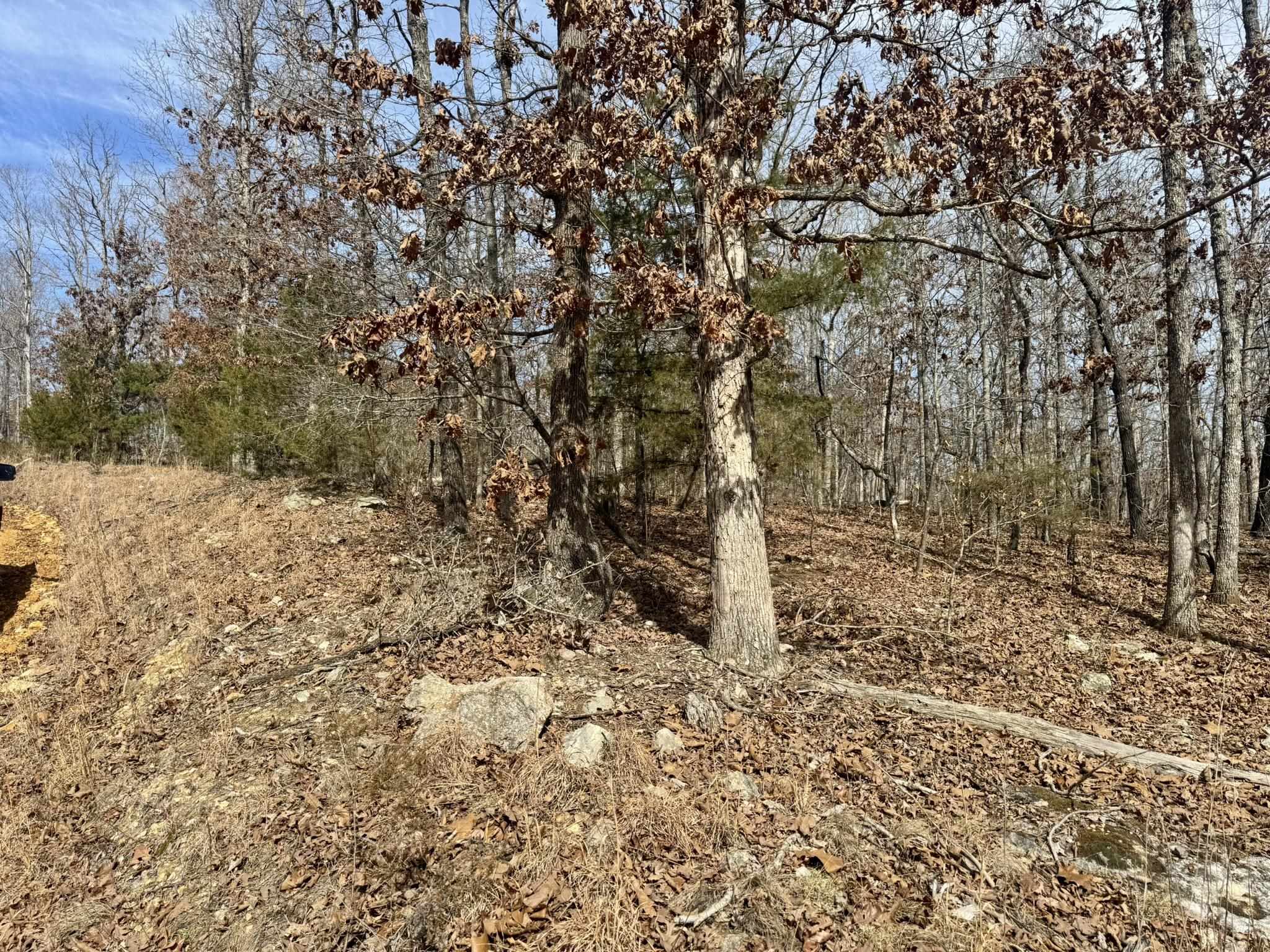 Photo 10 - Vacant Land for sale – 0  Barnes Road   Evening Shade, AR