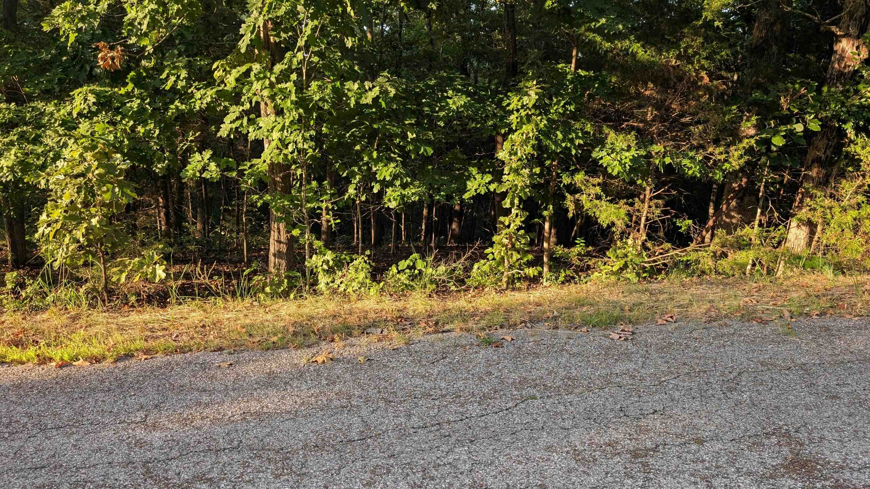 Photo 2 - Vacant Land for sale –   Tonto   Cherokee Village, AR