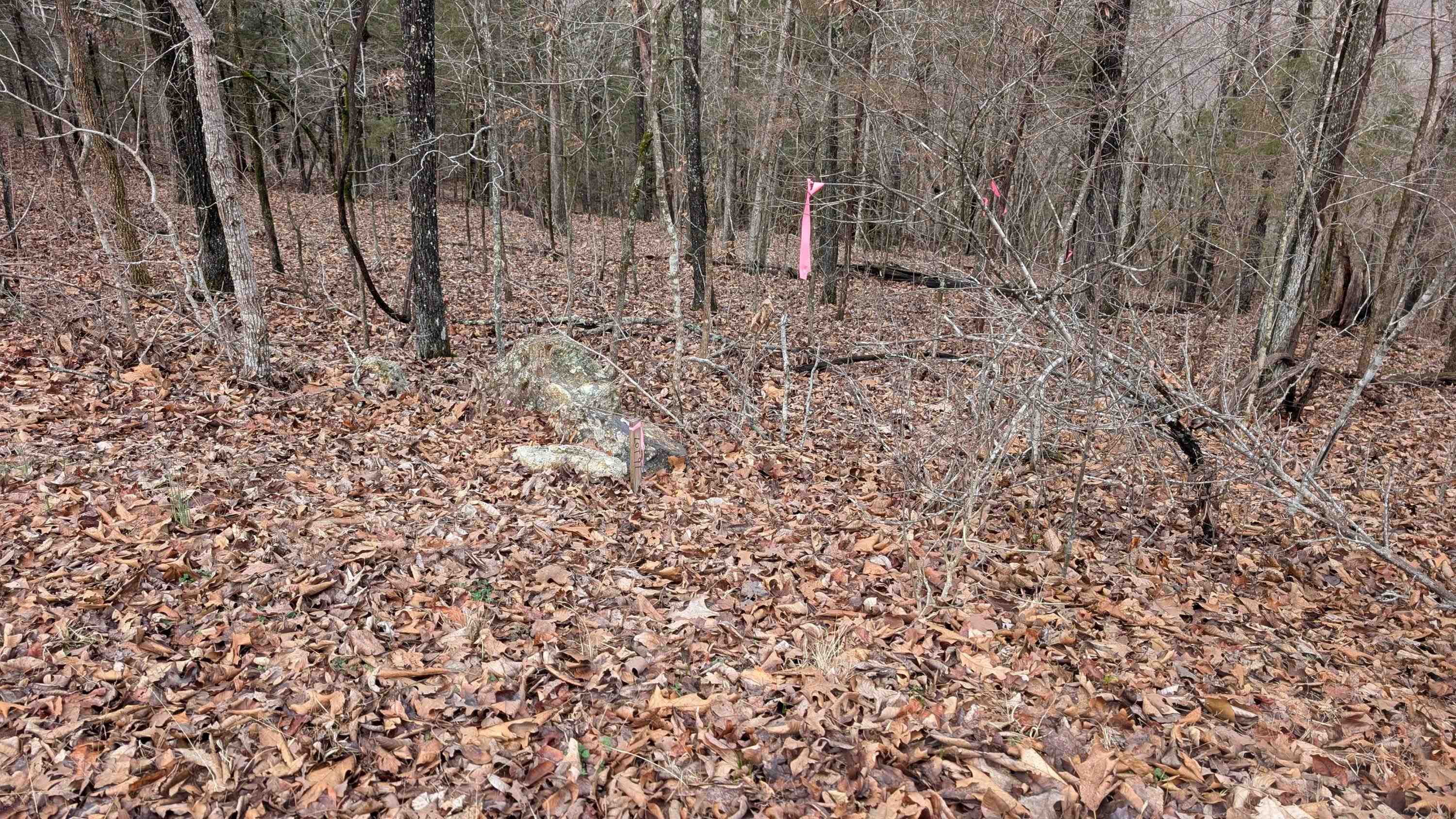 Photo 11 - Vacant Land for sale –   Tonto   Cherokee Village, AR