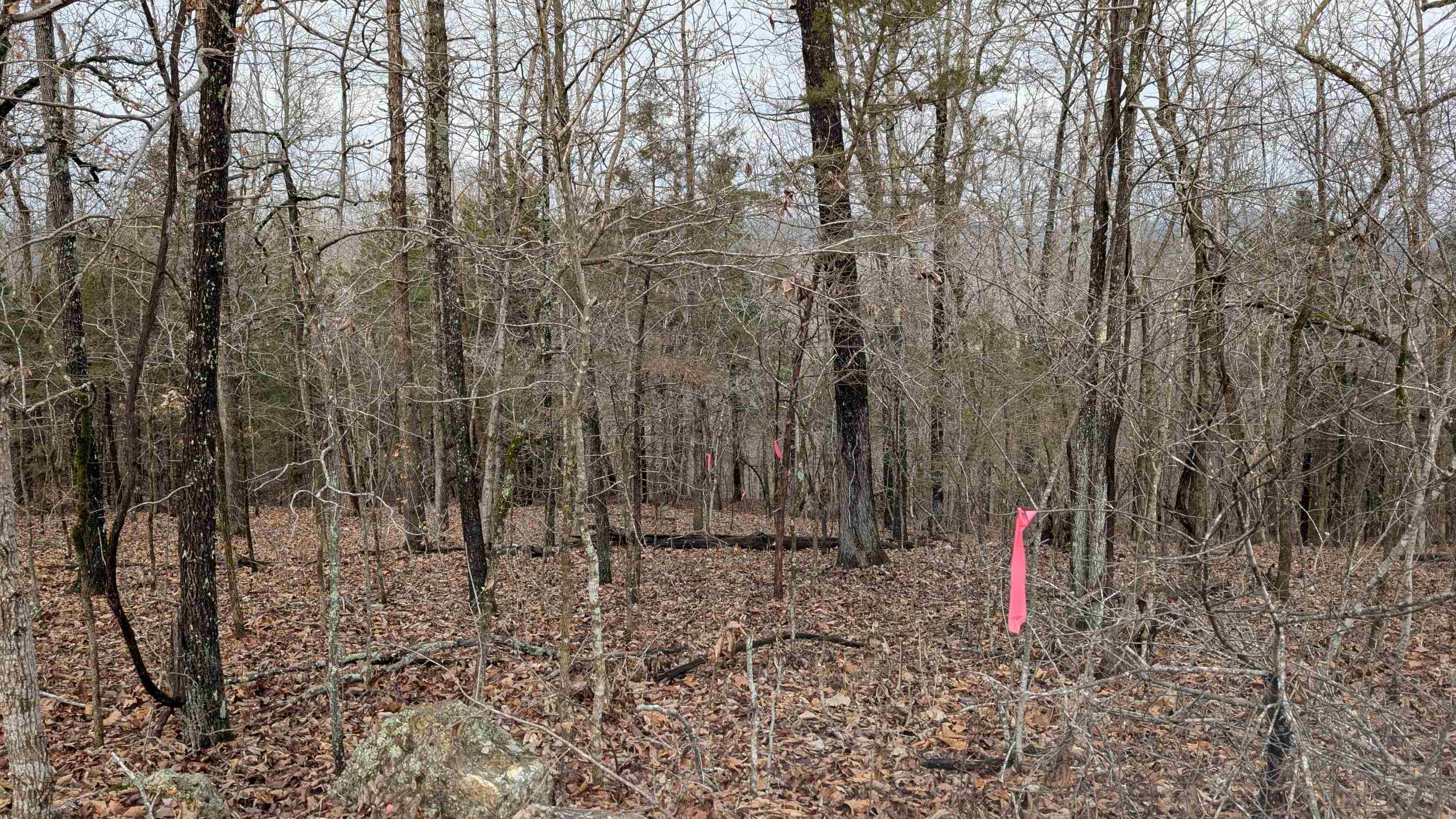 Photo 12 - Vacant Land for sale –   Tonto   Cherokee Village, AR