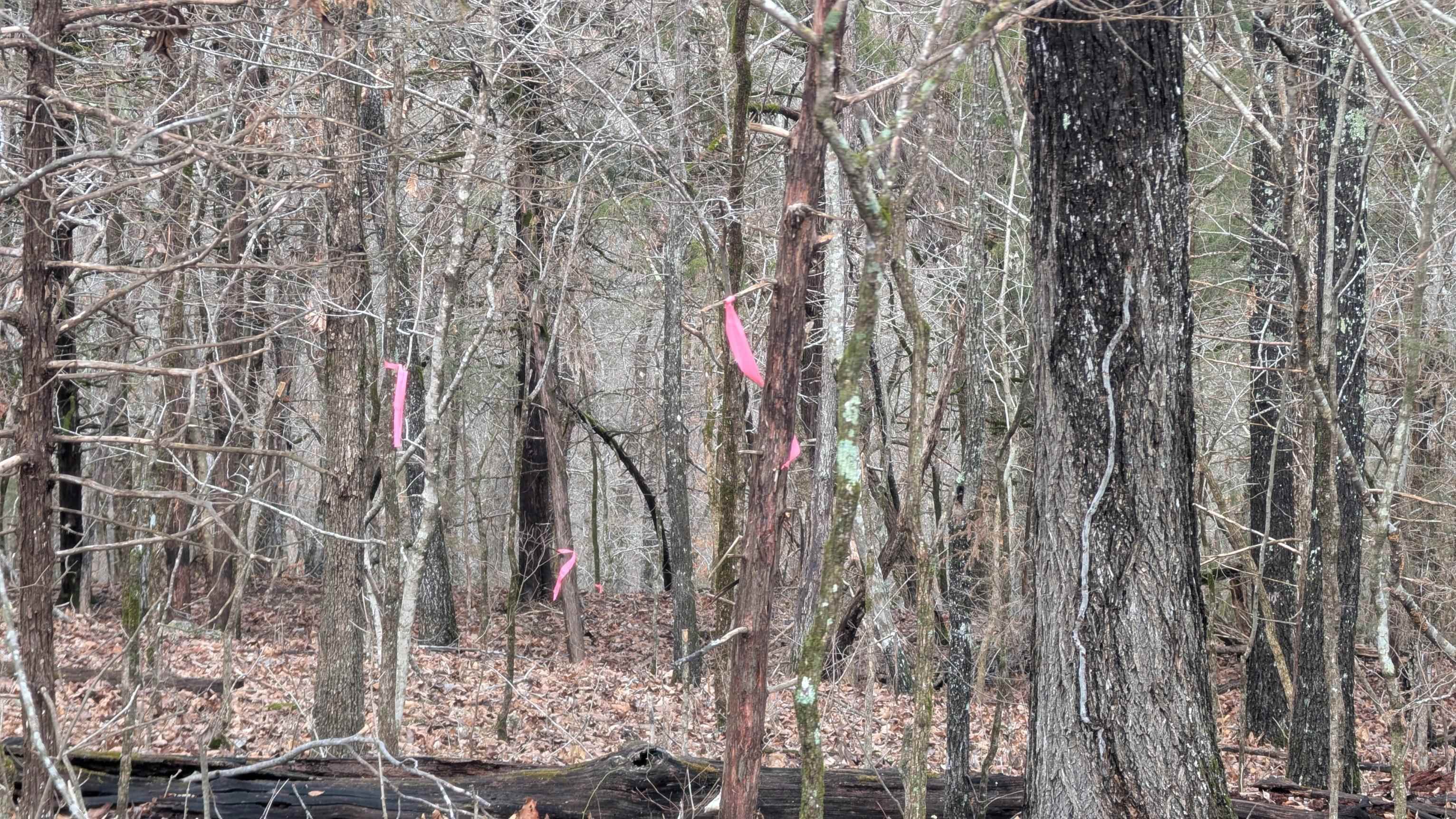 Photo 13 - Vacant Land for sale –   Tonto   Cherokee Village, AR