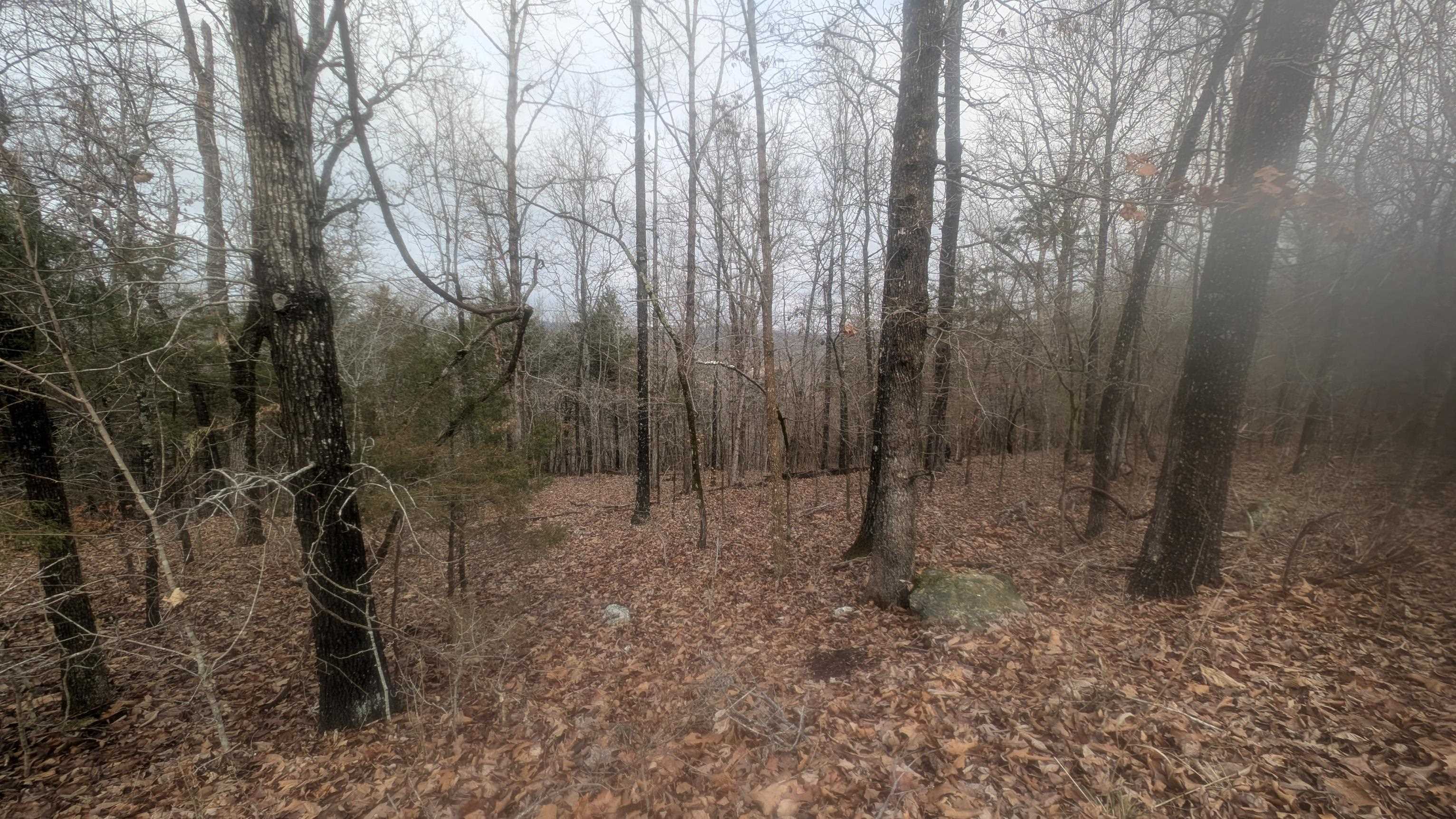 Photo 14 - Vacant Land for sale –   Tonto   Cherokee Village, AR
