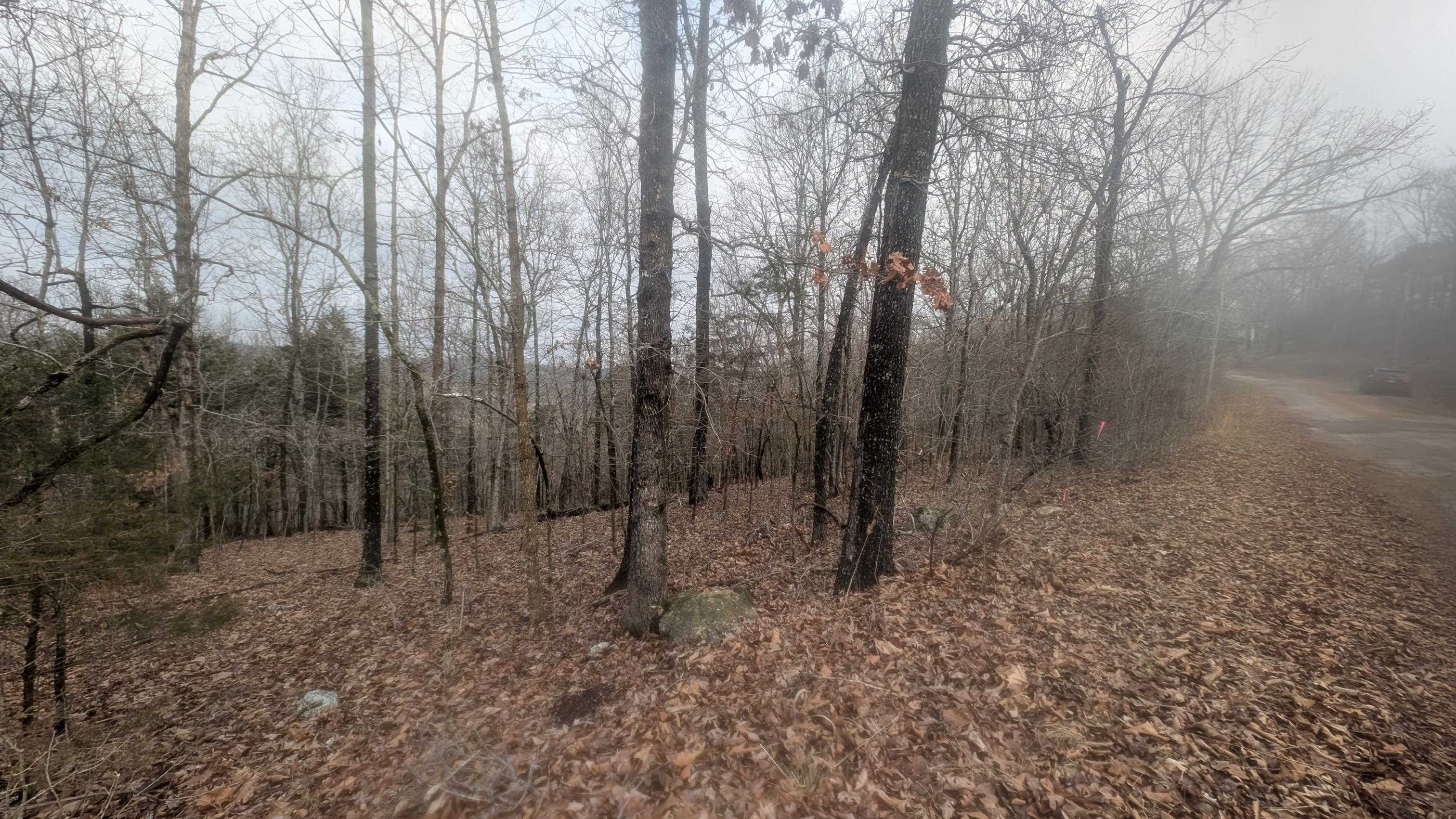 Photo 15 - Vacant Land for sale –   Tonto   Cherokee Village, AR