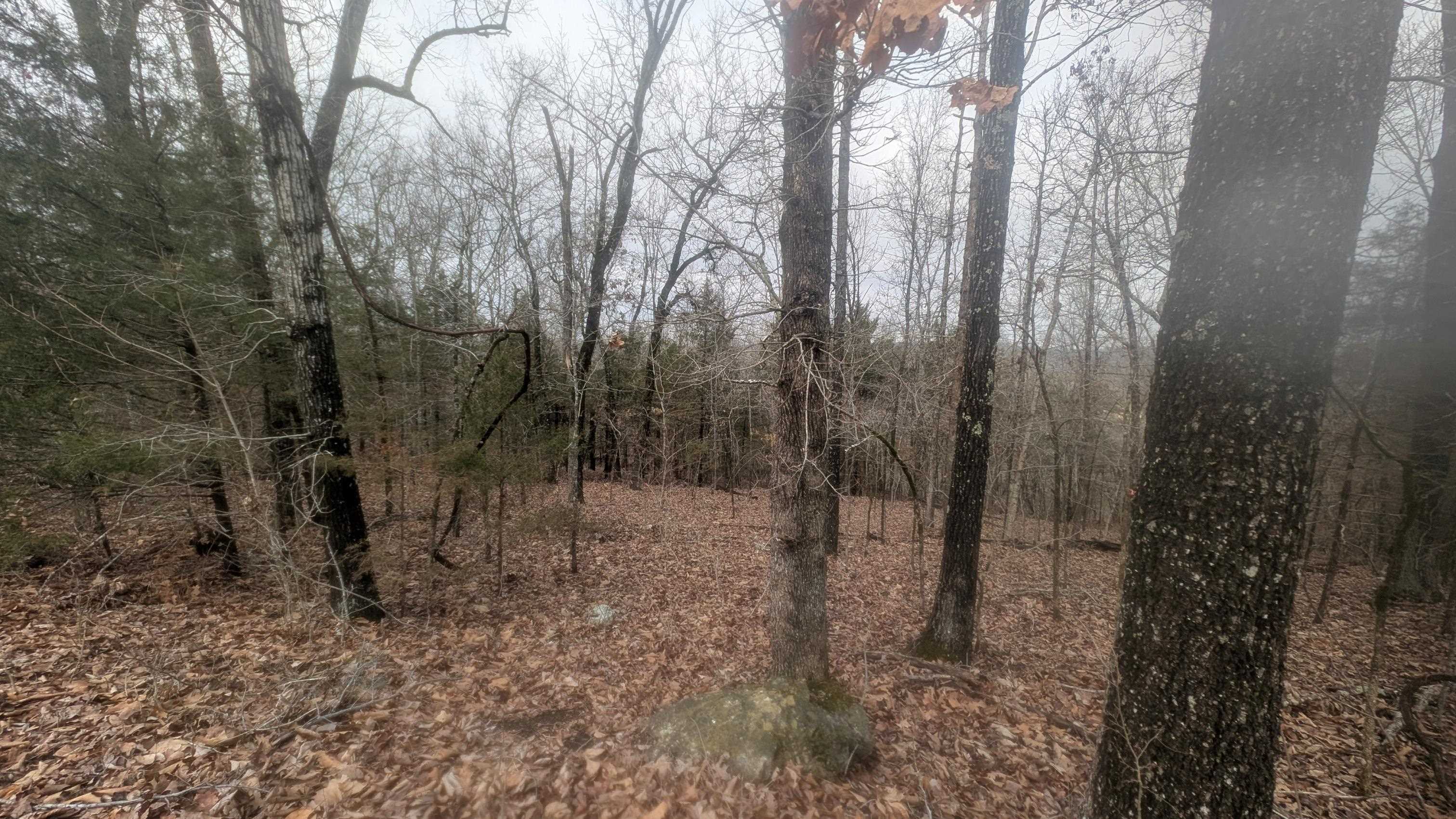 Photo 16 - Vacant Land for sale –   Tonto   Cherokee Village, AR