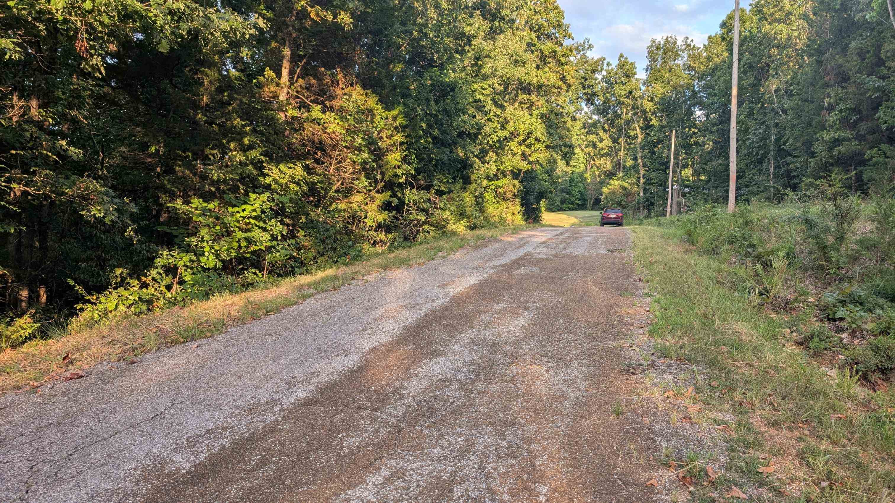 Photo 3 - Vacant Land for sale –   Tonto   Cherokee Village, AR