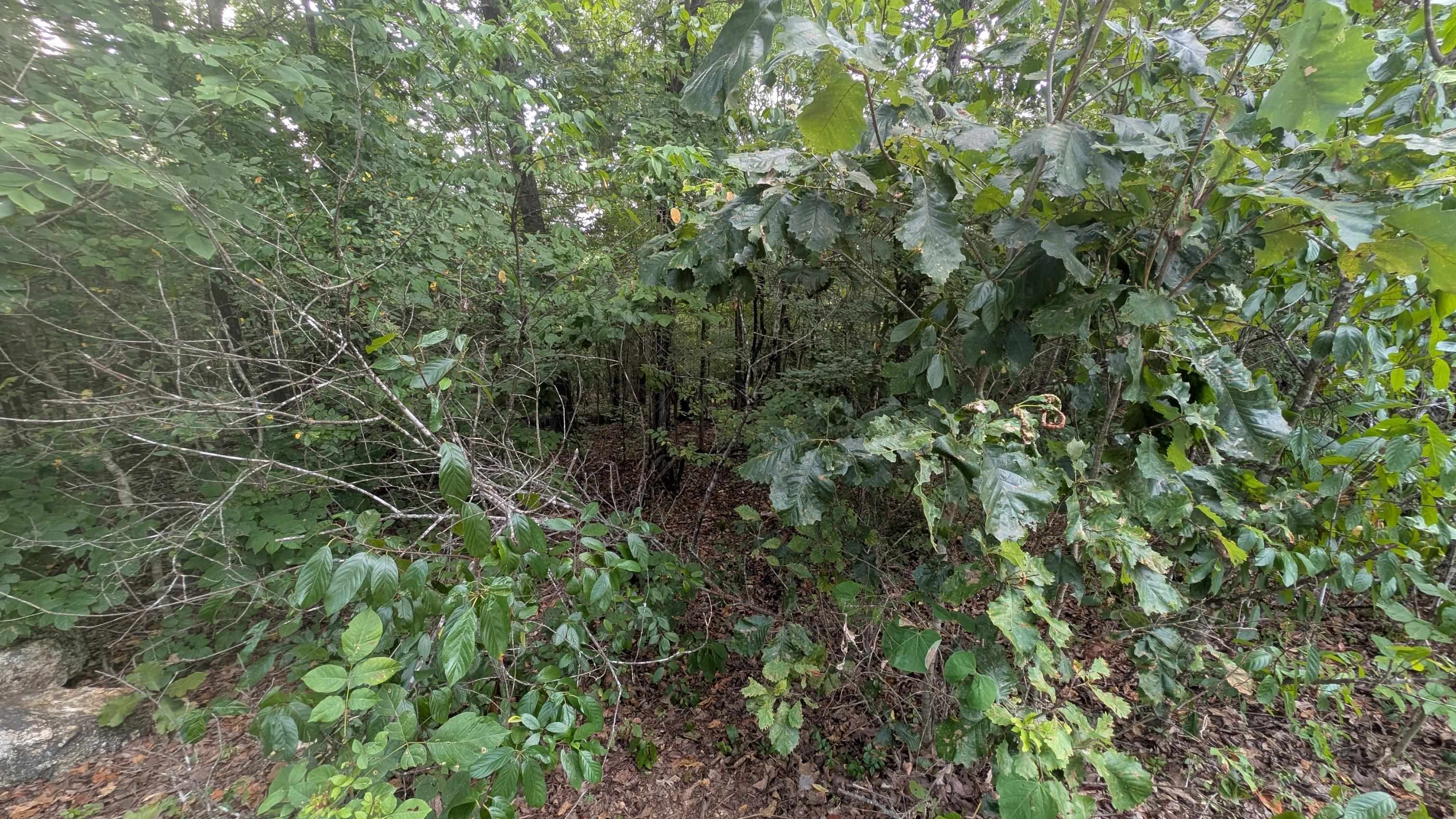 Photo 4 - Vacant Land for sale –   Tonto   Cherokee Village, AR