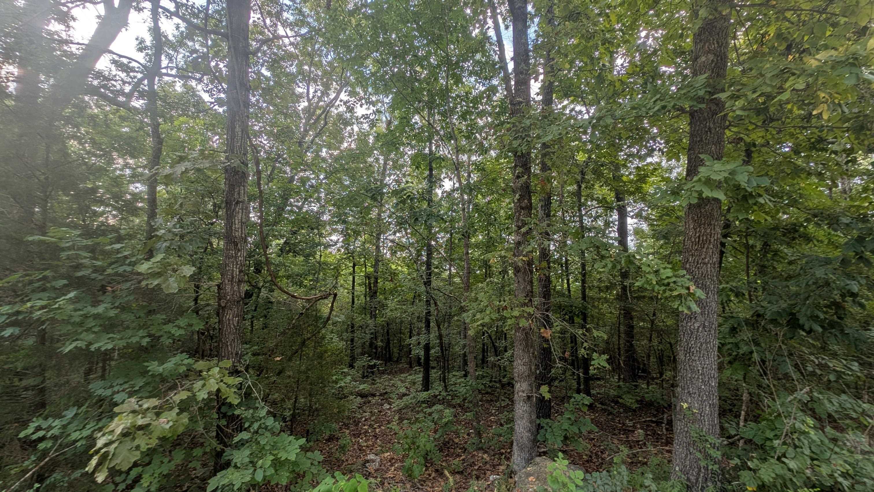 Photo 5 - Vacant Land for sale –   Tonto   Cherokee Village, AR