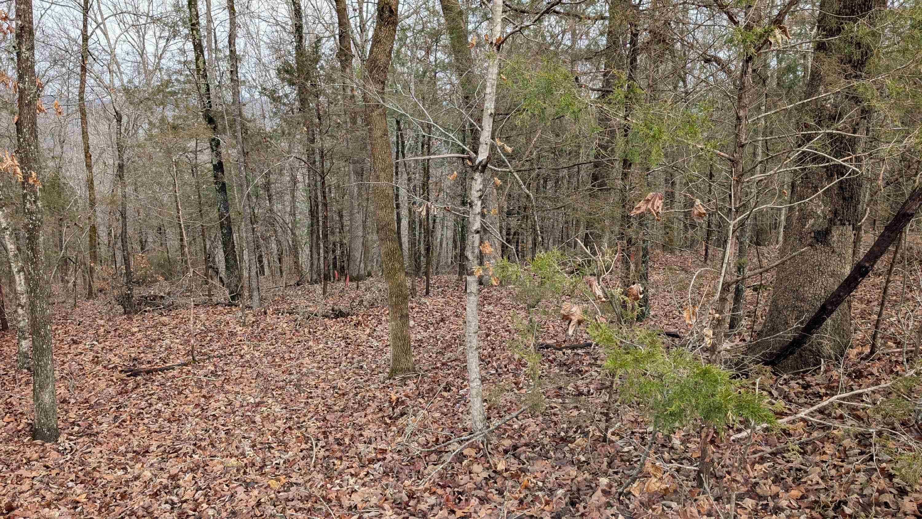 Photo 9 - Vacant Land for sale –   Tonto   Cherokee Village, AR