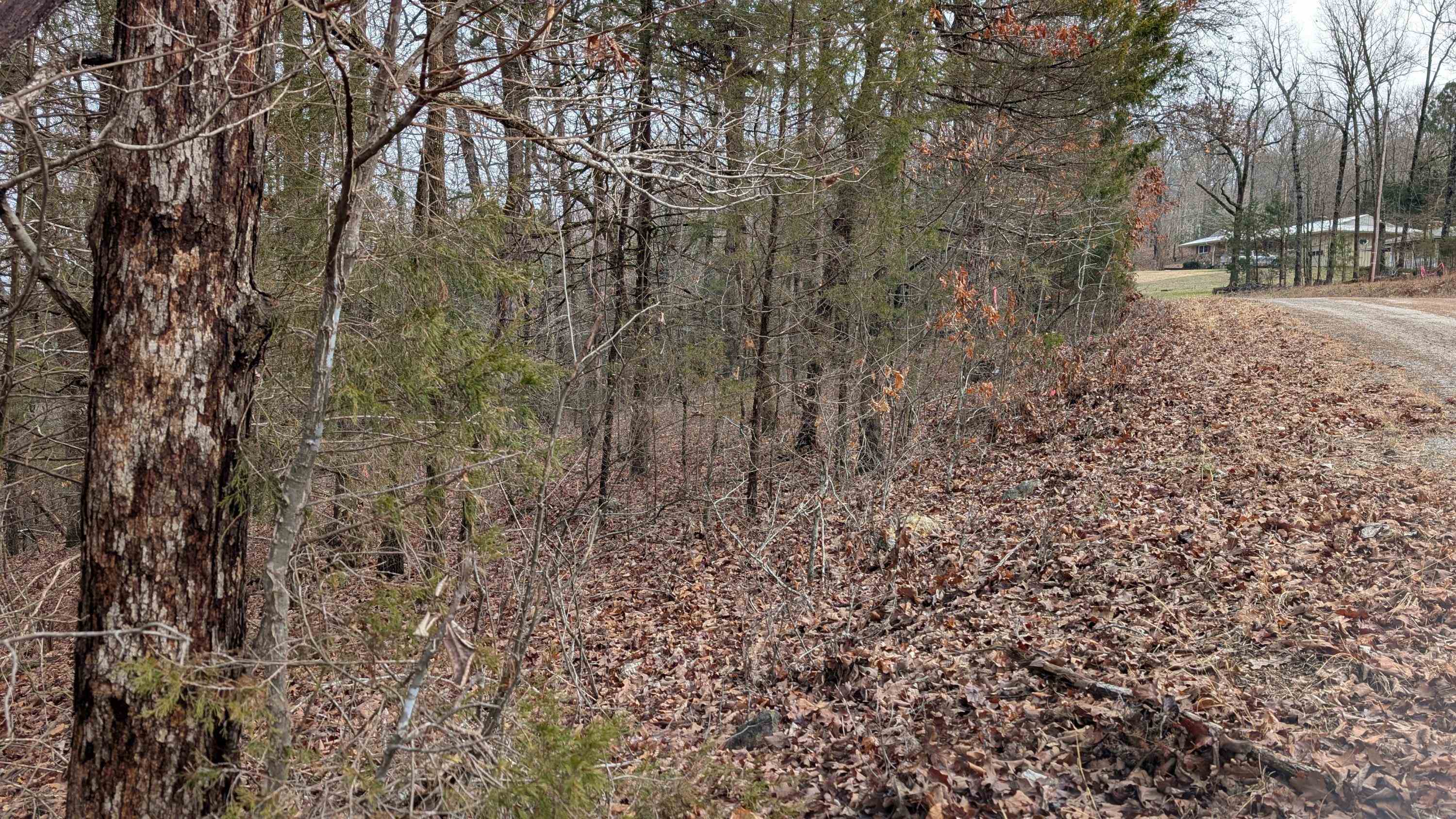 Photo 10 - Vacant Land for sale –   Tonto   Cherokee Village, AR