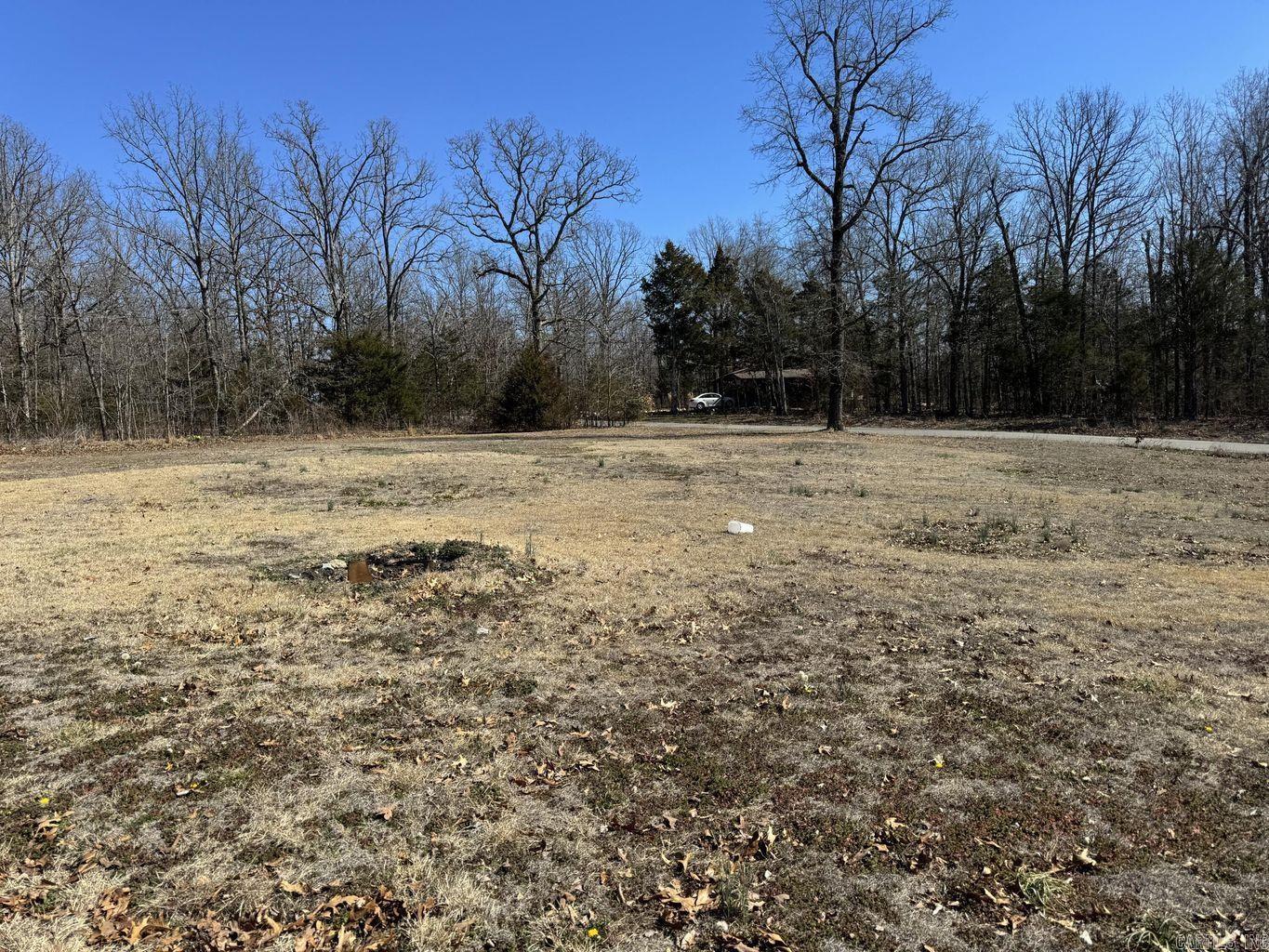 Photo 50 - Residential for sale – 709  Owl   Horseshoe Bend, AR