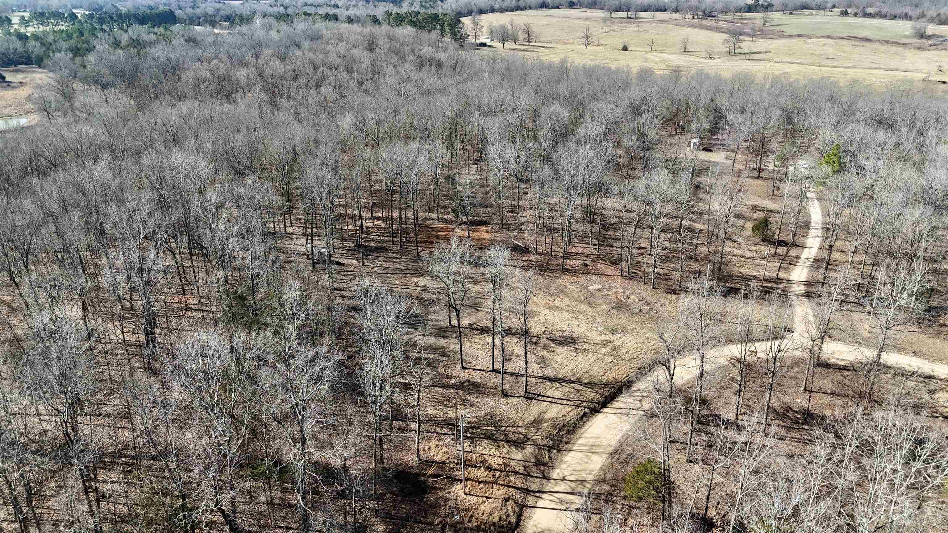 Photo 2 - Vacant Land for sale – 200  Lakeview   Sage, AR