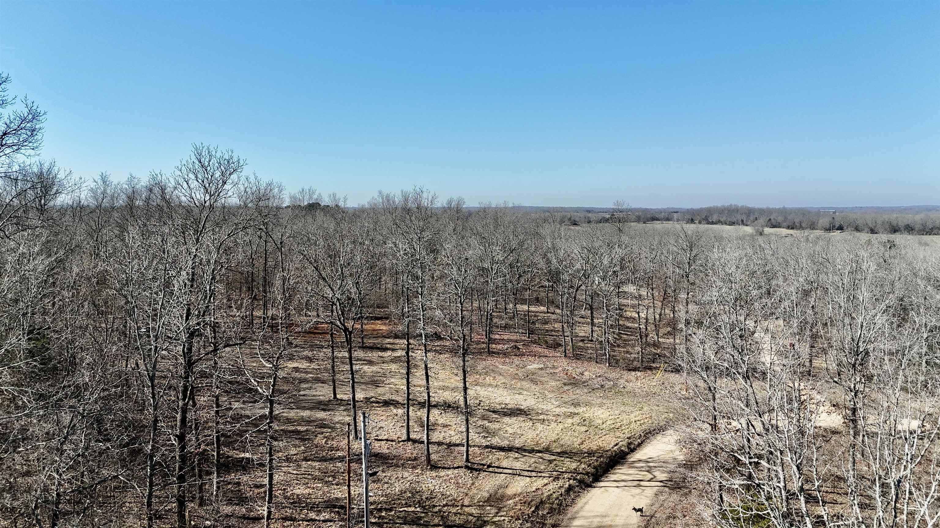 Photo 5 - Vacant Land for sale – 200  Lakeview   Sage, AR