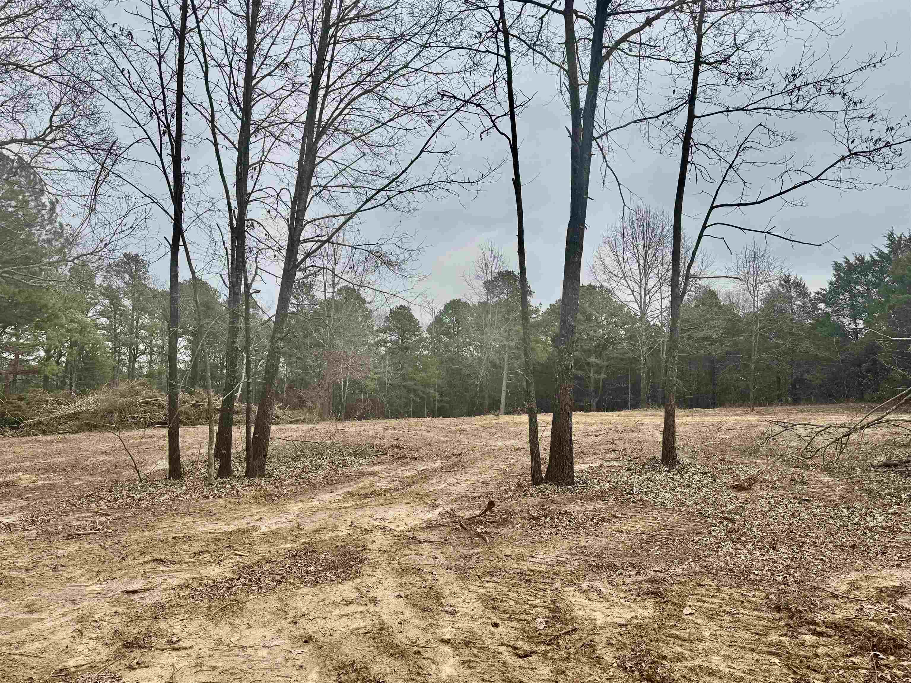 Photo 3 - Vacant Land for sale – 000  Plantation Circle   Melbourne, AR