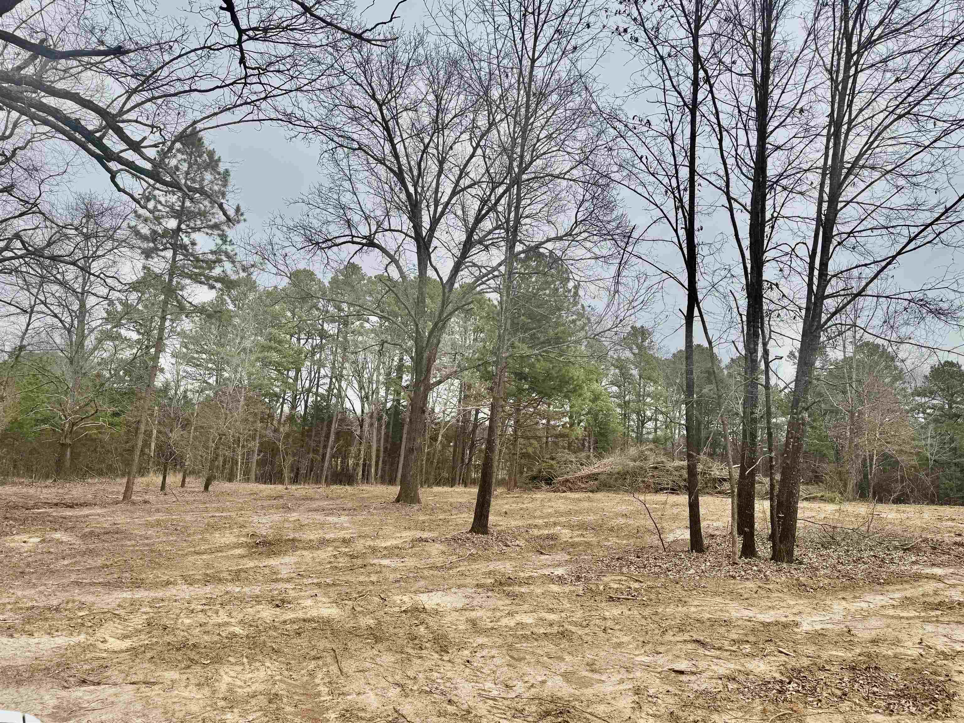 Photo 8 - Vacant Land for sale – 000  Plantation Circle   Melbourne, AR
