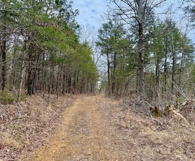 Photo 2 - Vacant Land for sale – 0000  Buck Ridge   Williford, AR