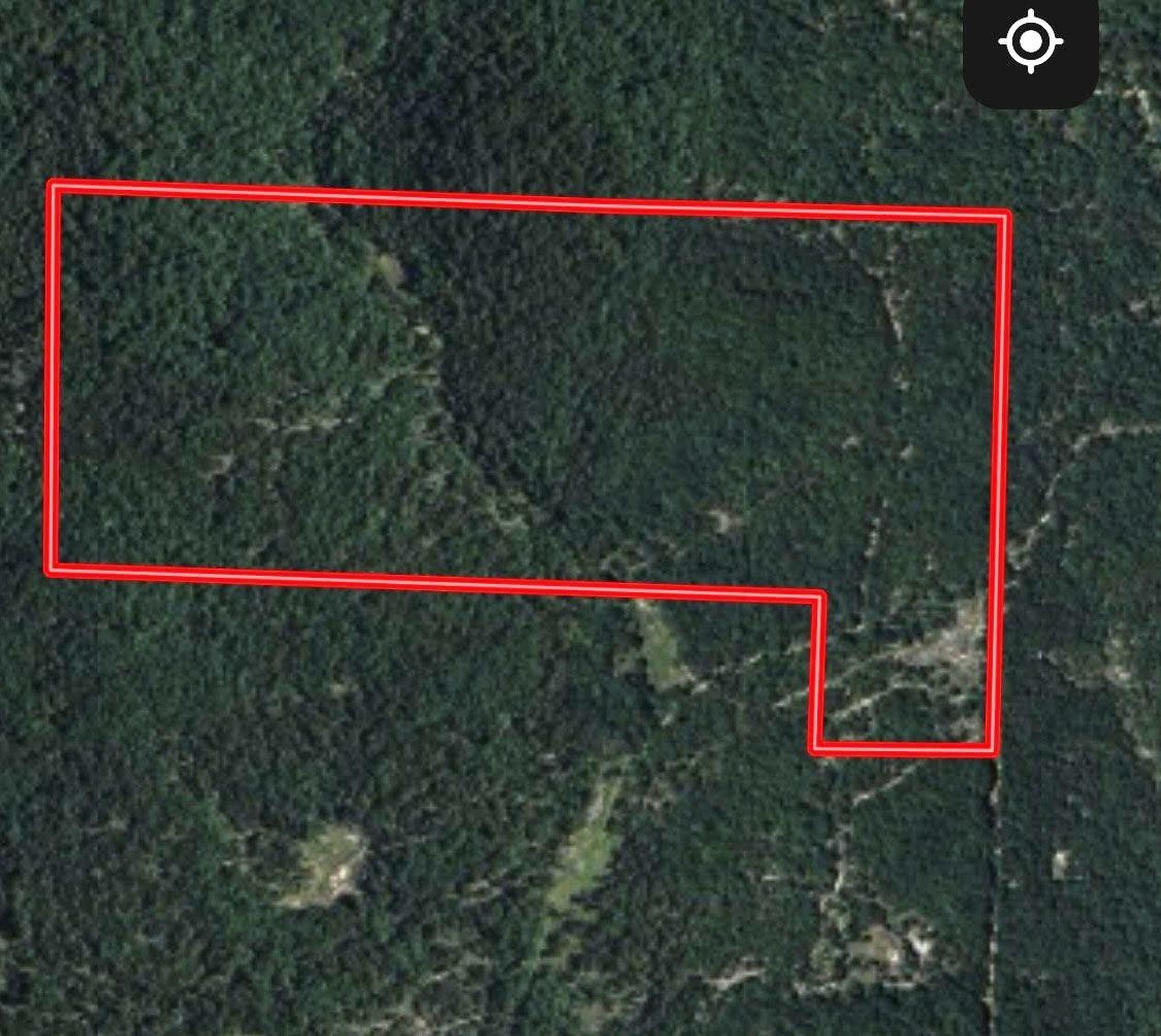 Photo 11 - Vacant Land for sale – 0000  Buck Ridge   Williford, AR