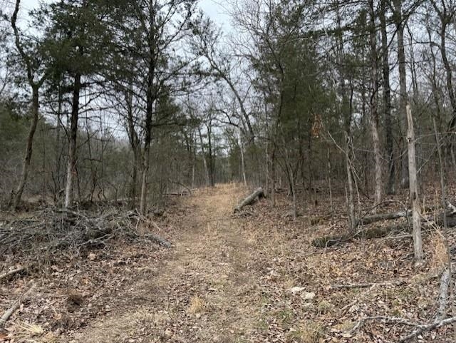 Photo 3 - Vacant Land for sale – 0000  Buck Ridge   Williford, AR