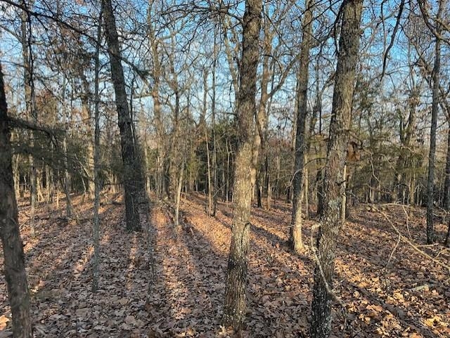 Photo 4 - Vacant Land for sale – 0000  Buck Ridge   Williford, AR