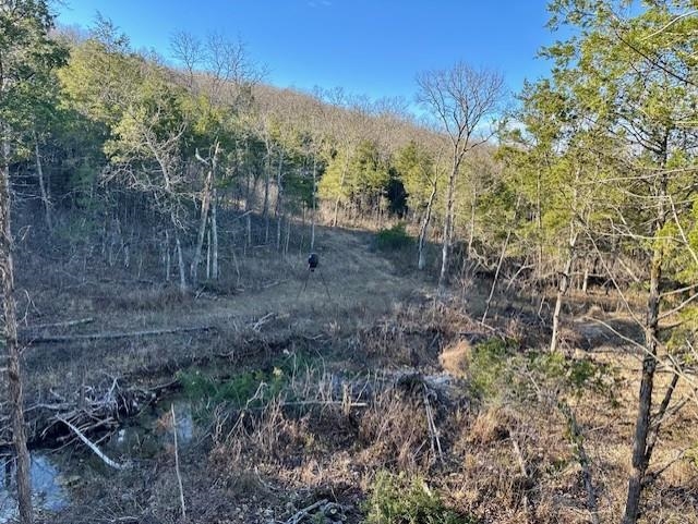 Photo 5 - Vacant Land for sale – 0000  Buck Ridge   Williford, AR