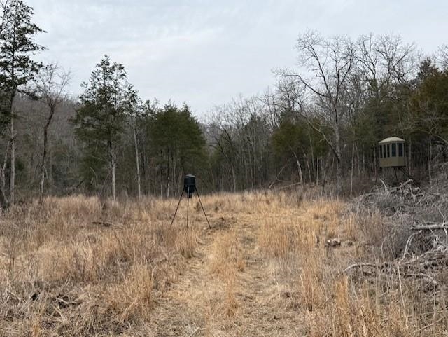 Photo 7 - Vacant Land for sale – 0000  Buck Ridge   Williford, AR